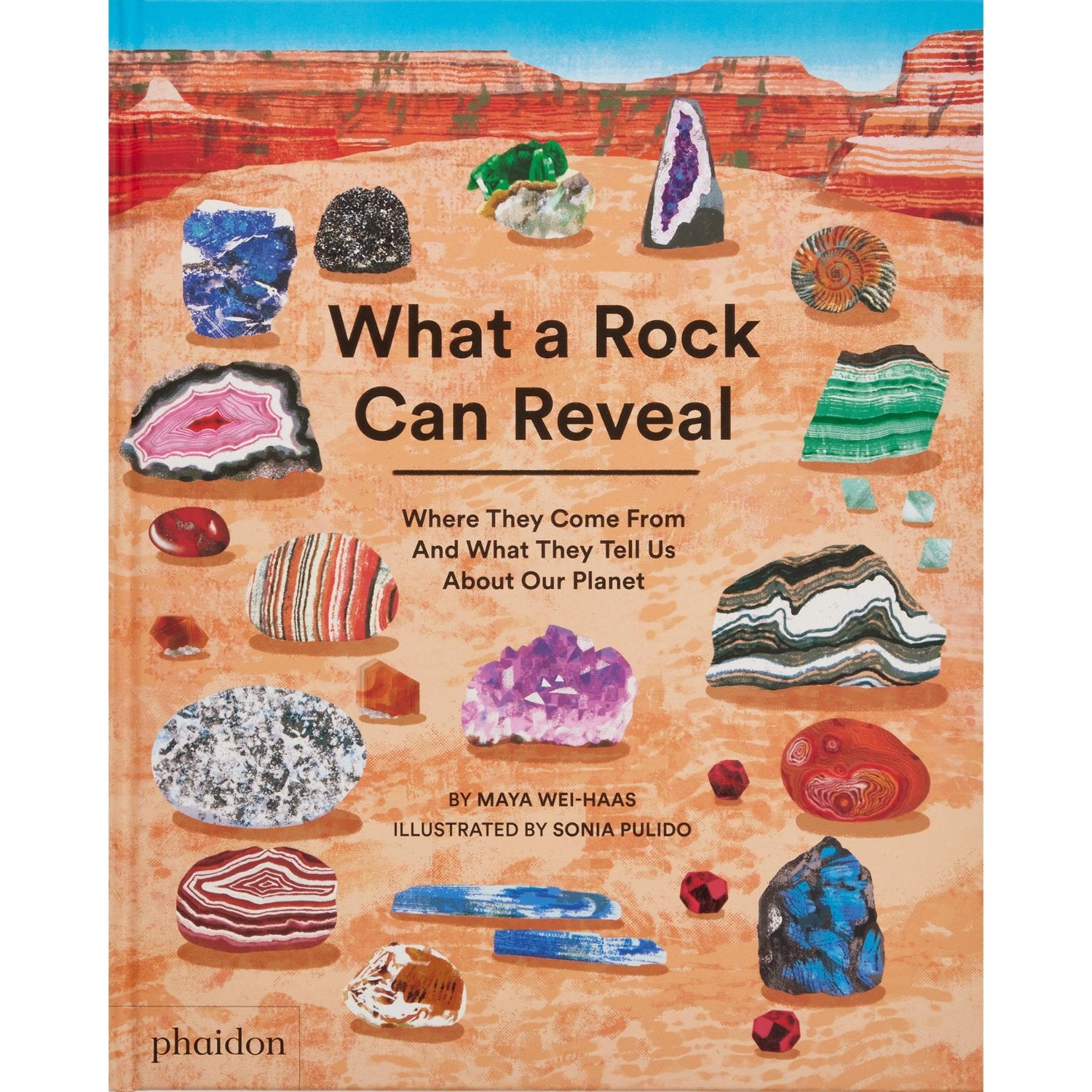 Book cover of 'What a Rock Can Reveal' with illustrations of various rocks and minerals.