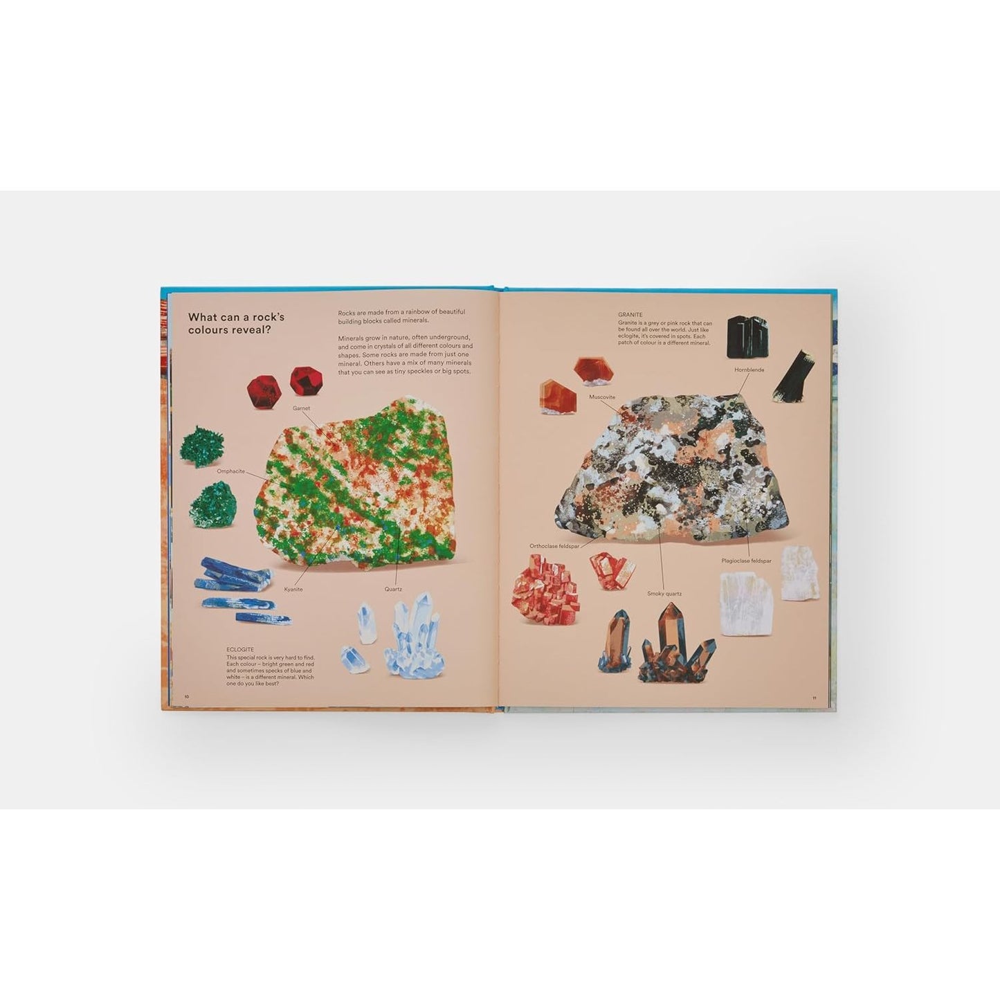 What a Rock Can Reveal - Where They Come From And What They Tell Us About Our Planet | Hardcover | Children's Book
