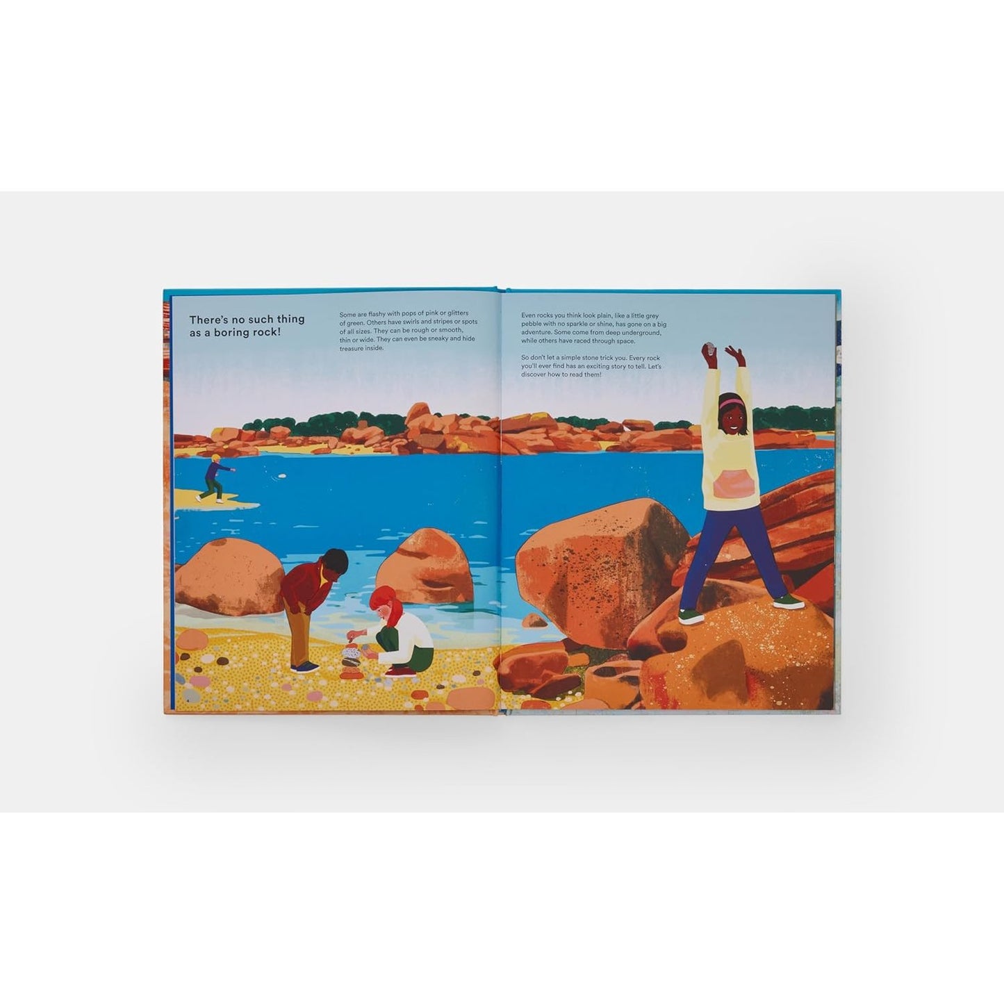 What a Rock Can Reveal - Where They Come From And What They Tell Us About Our Planet | Hardcover | Children's Book