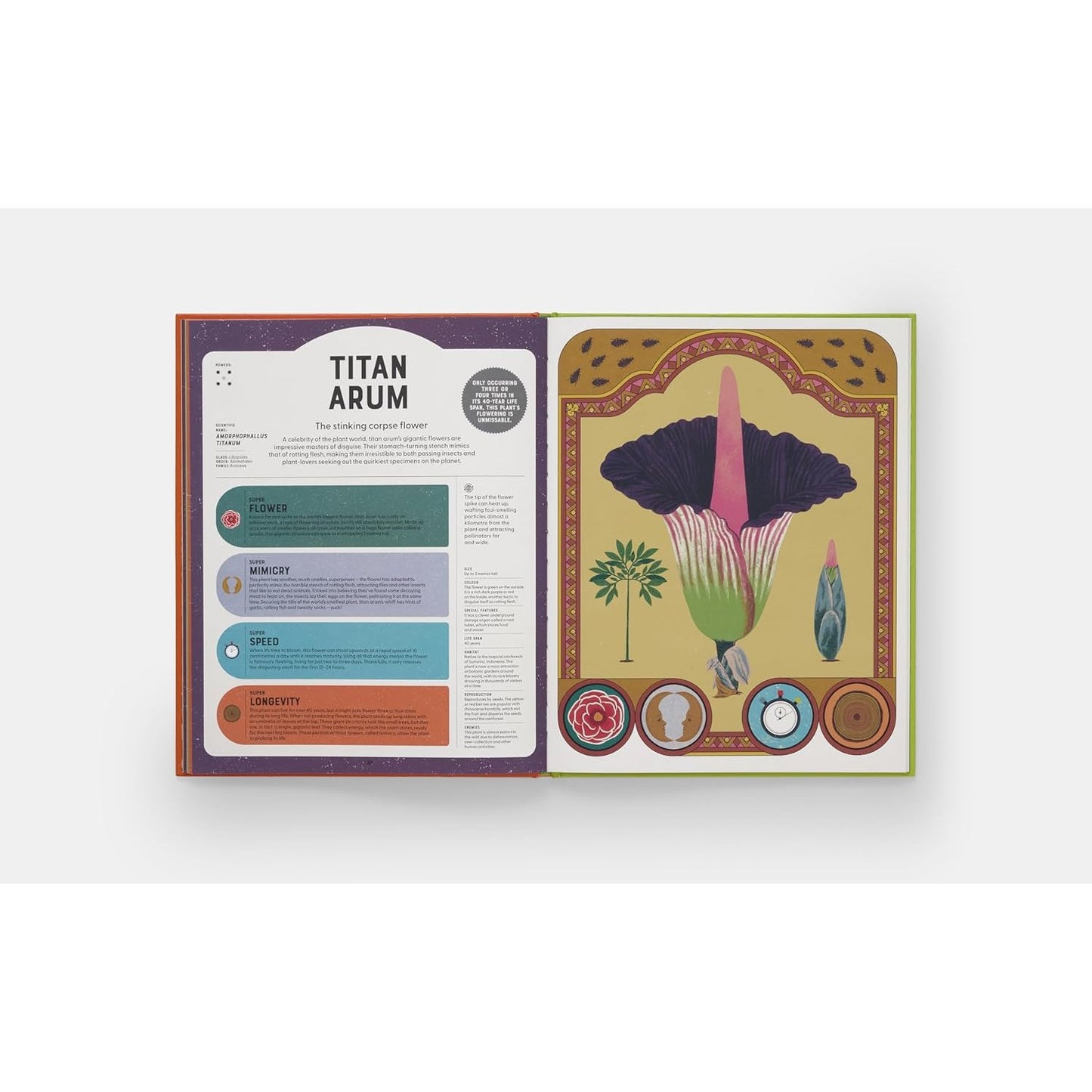 Superpowered Plants - Meet the Smartest, Strongest, and Sneakiest Plants | Hardcover | Children's Book