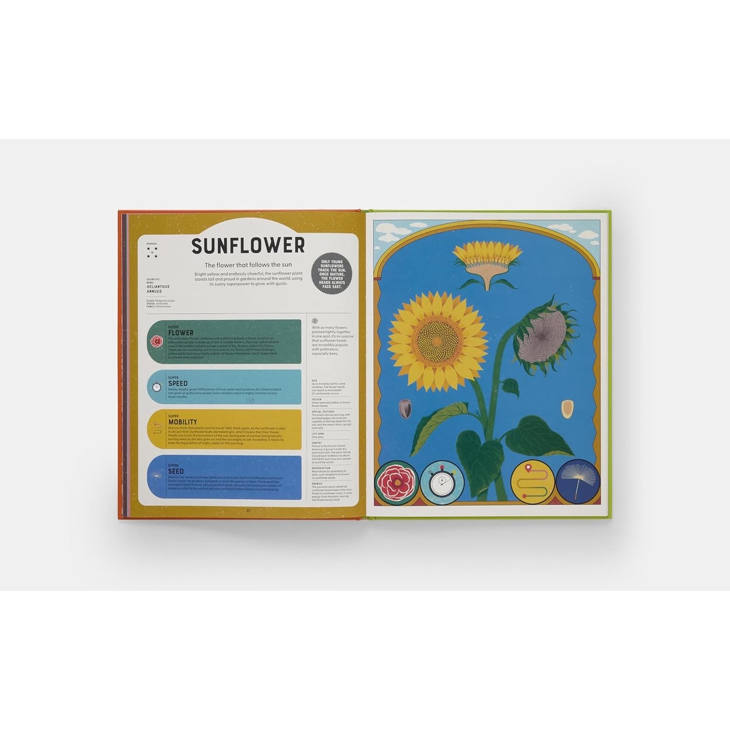Superpowered Plants - Meet the Smartest, Strongest, and Sneakiest Plants | Hardcover | Children's Book