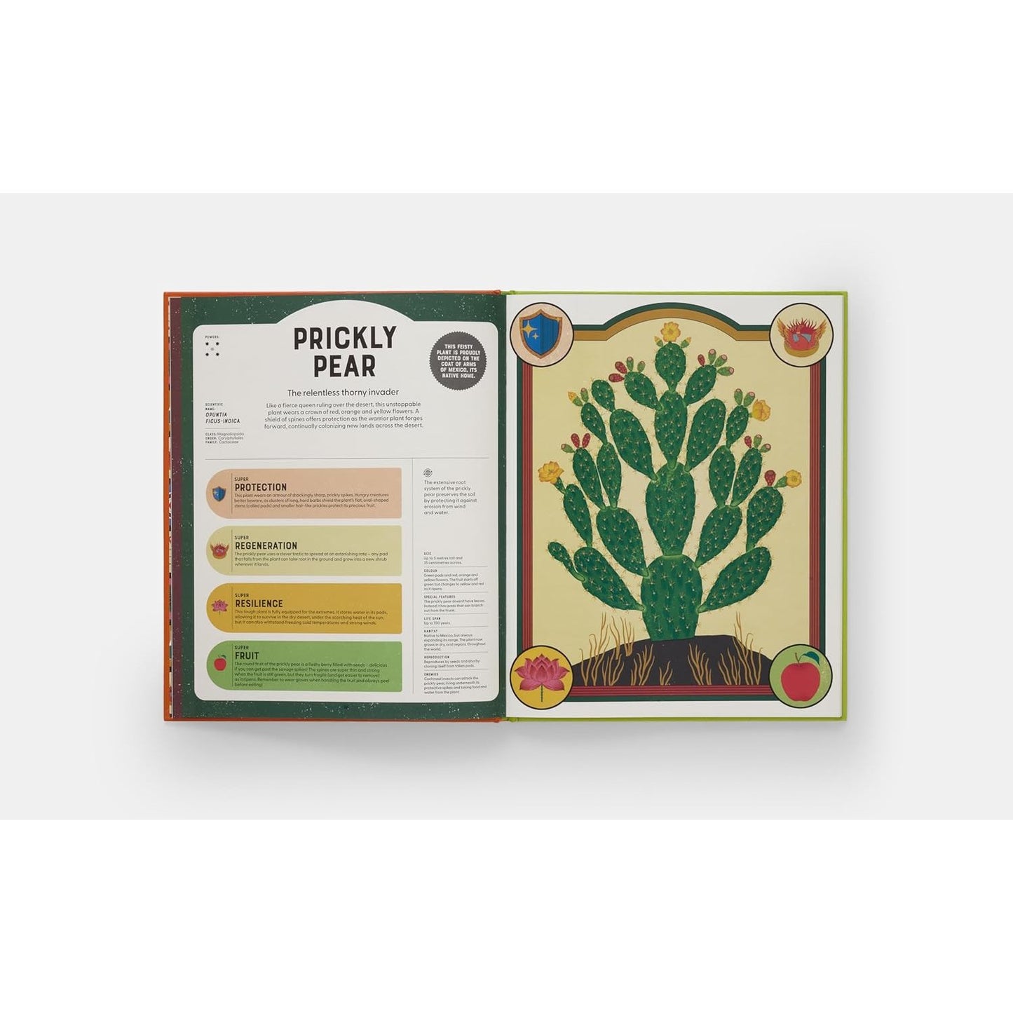 Superpowered Plants - Meet the Smartest, Strongest, and Sneakiest Plants | Hardcover | Children's Book