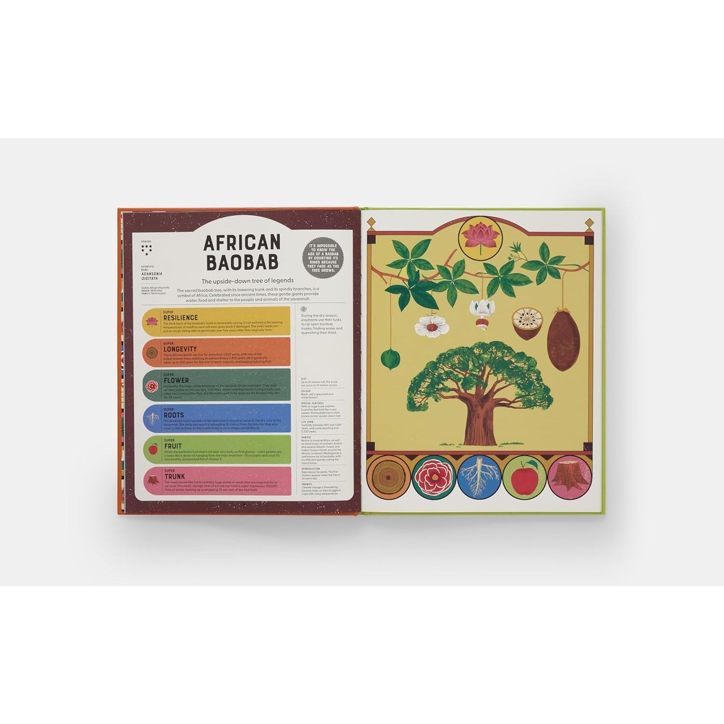 Superpowered Plants - Meet the Smartest, Strongest, and Sneakiest Plants | Hardcover | Children's Book