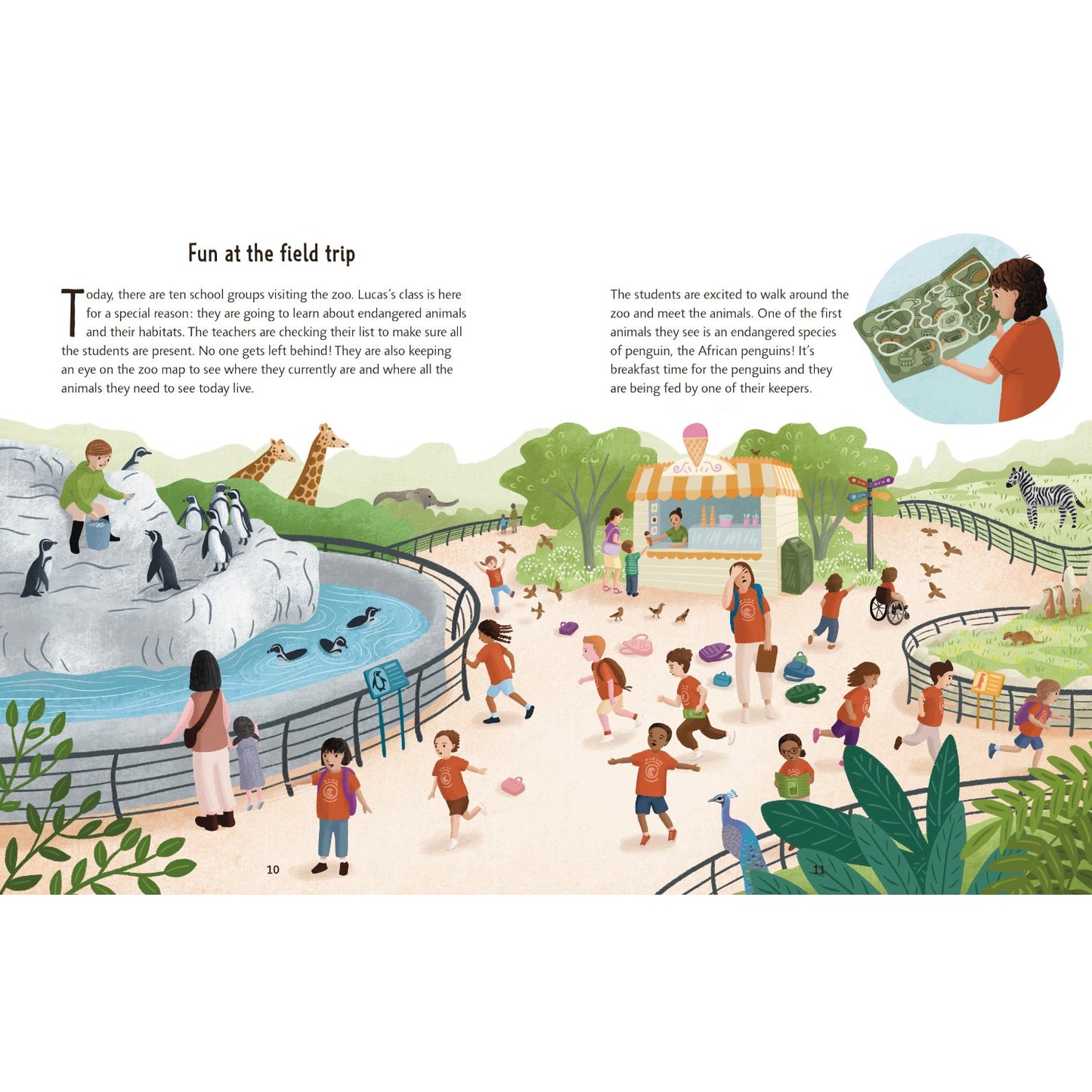 The Zoo - The Inside Story | Hardcover | Children's Book on Animals