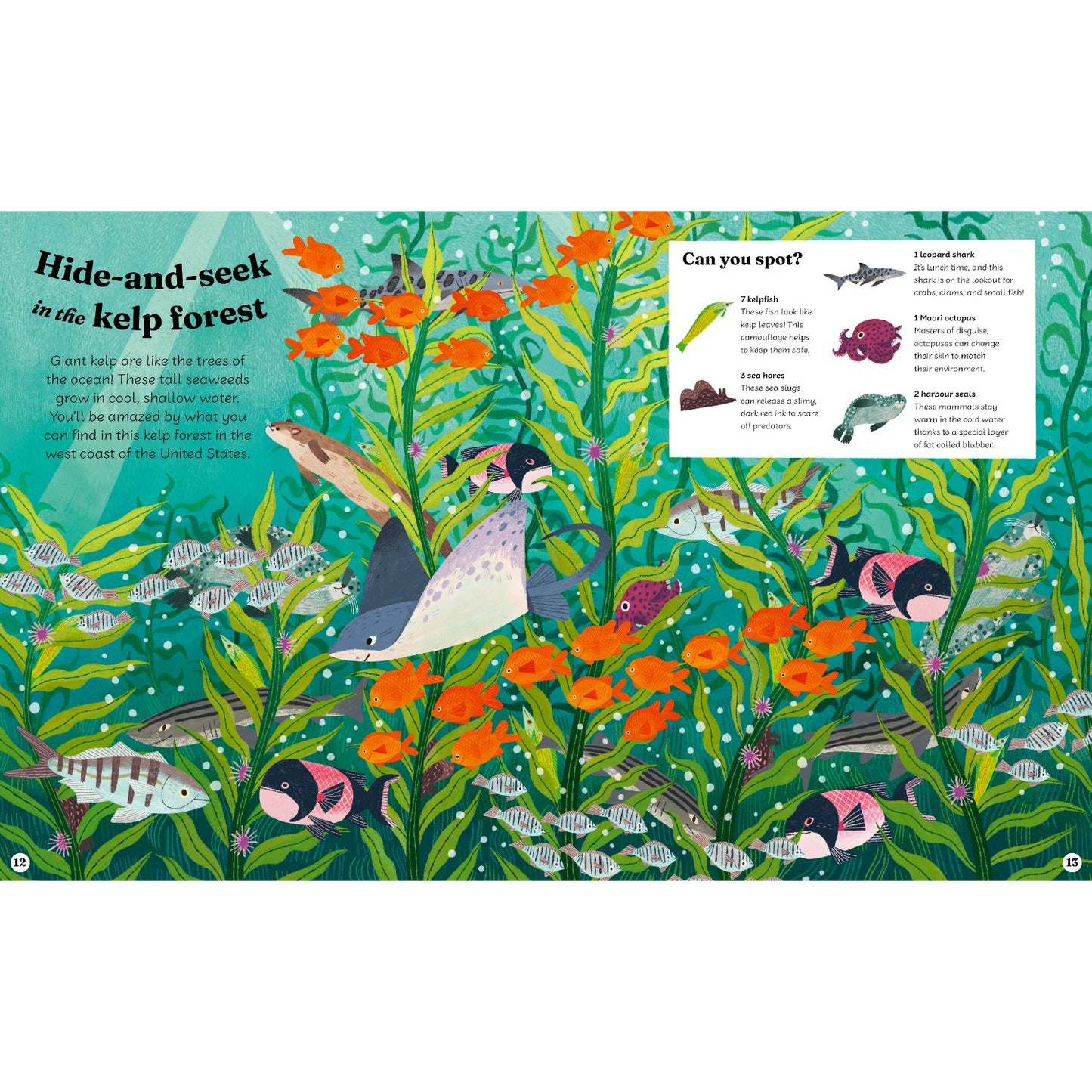 Ocean Explorer - A Search-and-Find Book | Hardcover | Children's Book on Ocean Animals