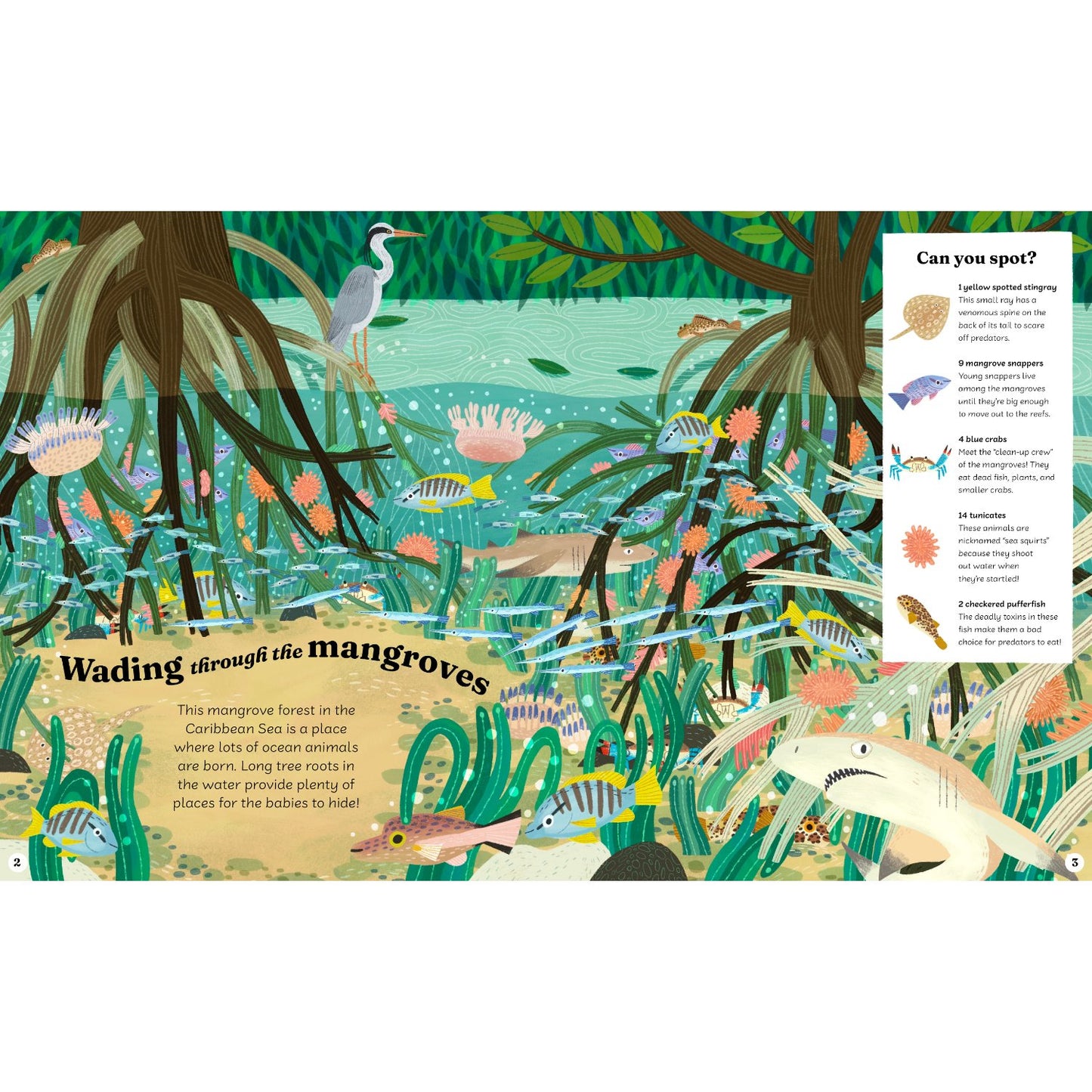 Ocean Explorer - A Search-and-Find Book | Hardcover | Children's Book on Ocean Animals