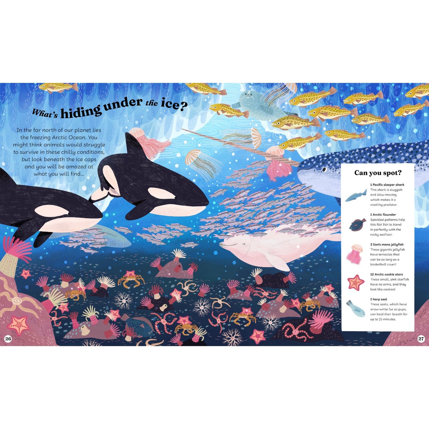 Ocean Explorer - A Search-and-Find Book | Hardcover | Children's Book on Ocean Animals
