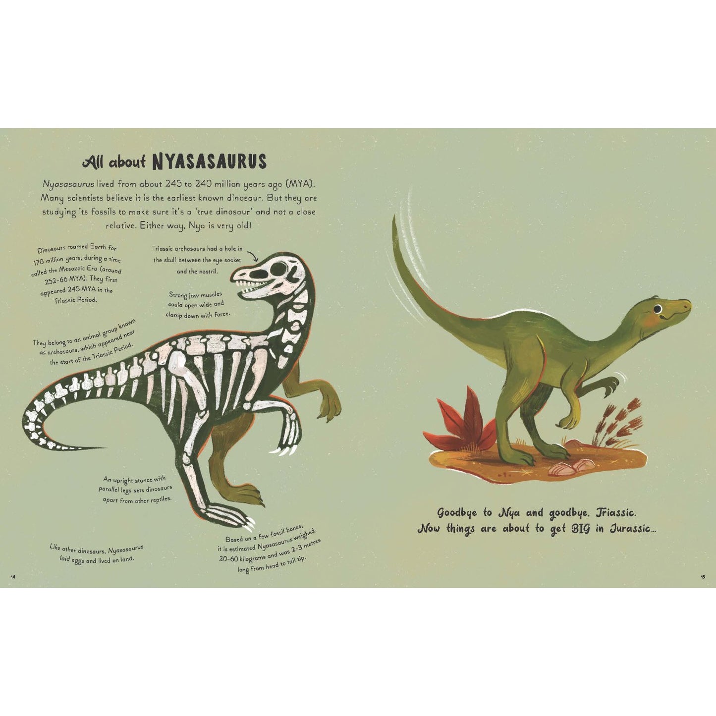 5 Minute Dinosaur Stories | Hardcover | Children's Book on Dinosaurs & Prehistoric Life