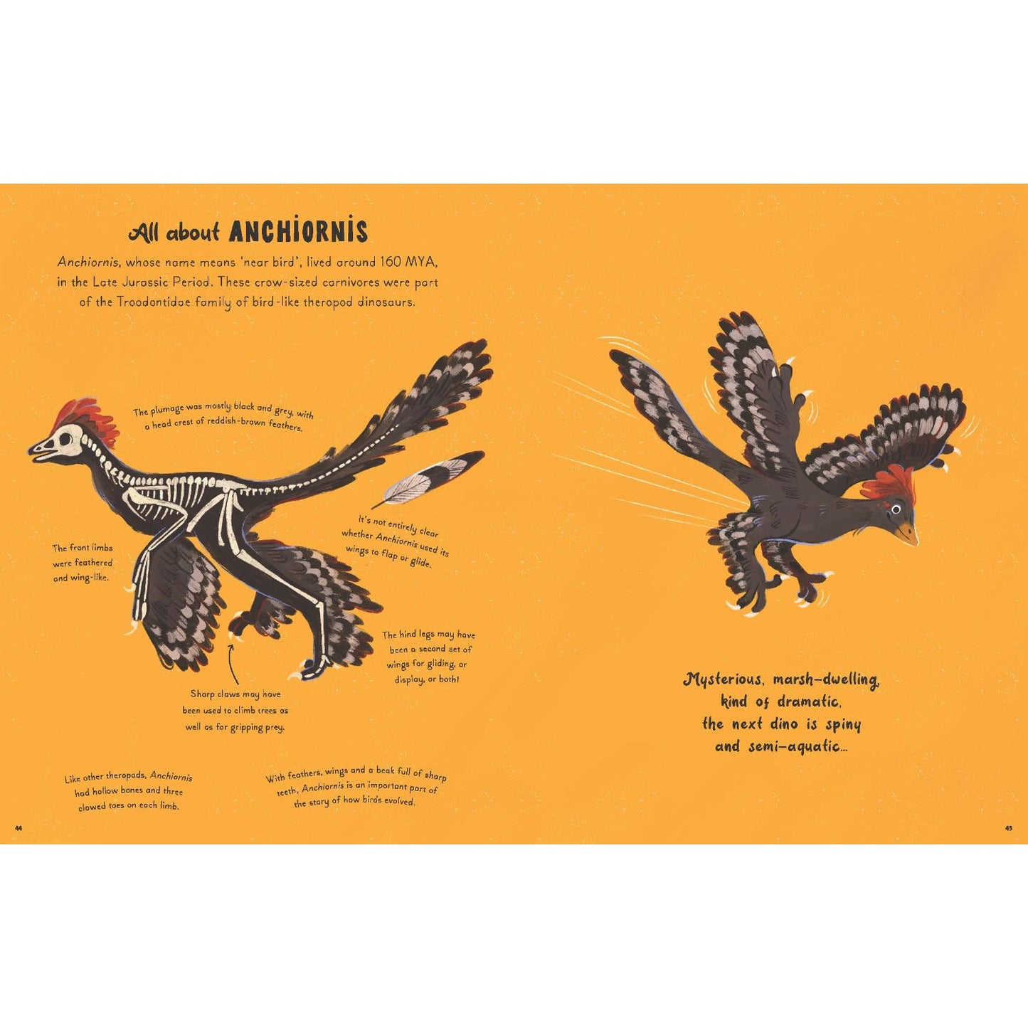 5 Minute Dinosaur Stories | Hardcover | Children's Book on Dinosaurs & Prehistoric Life