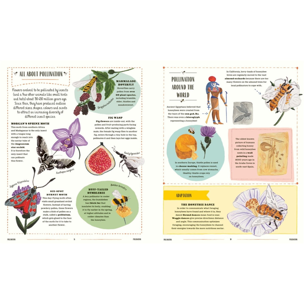 Sample pages (6) from 'Buzz' by Richard Jones and Sara Boccaccini Meadows - preschool hardcover
