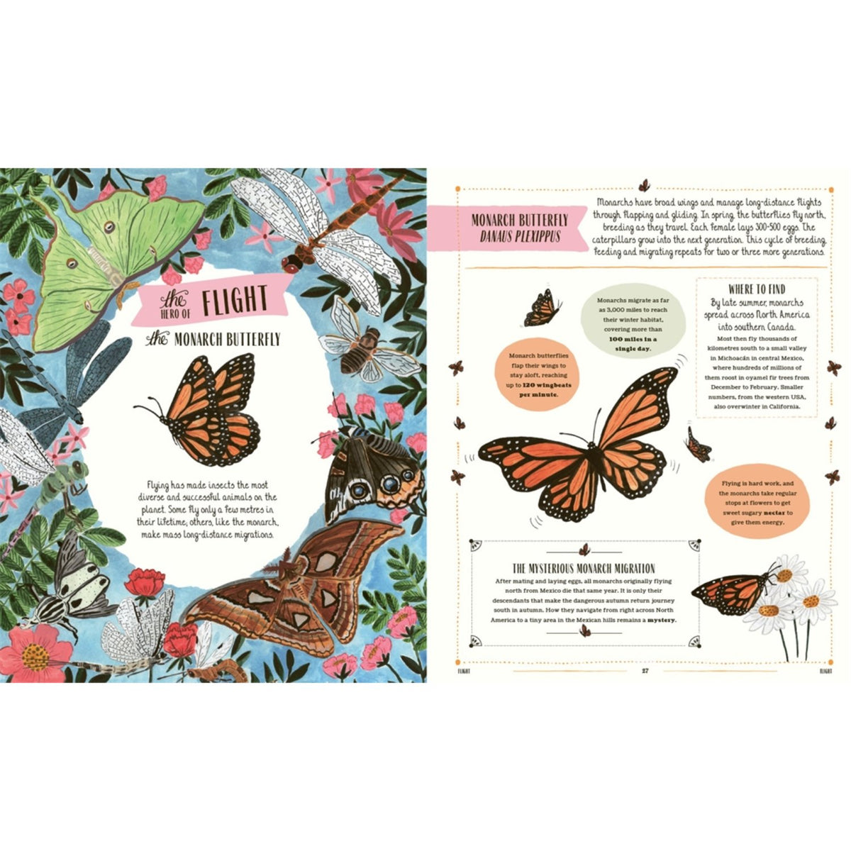 Sample pages (8) from 'Buzz' by Richard Jones and Sara Boccaccini Meadows - preschool hardcover