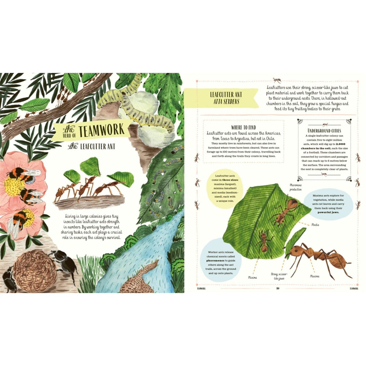 Sample pages (12) from 'Buzz' by Richard Jones and Sara Boccaccini Meadows - preschool hardcover