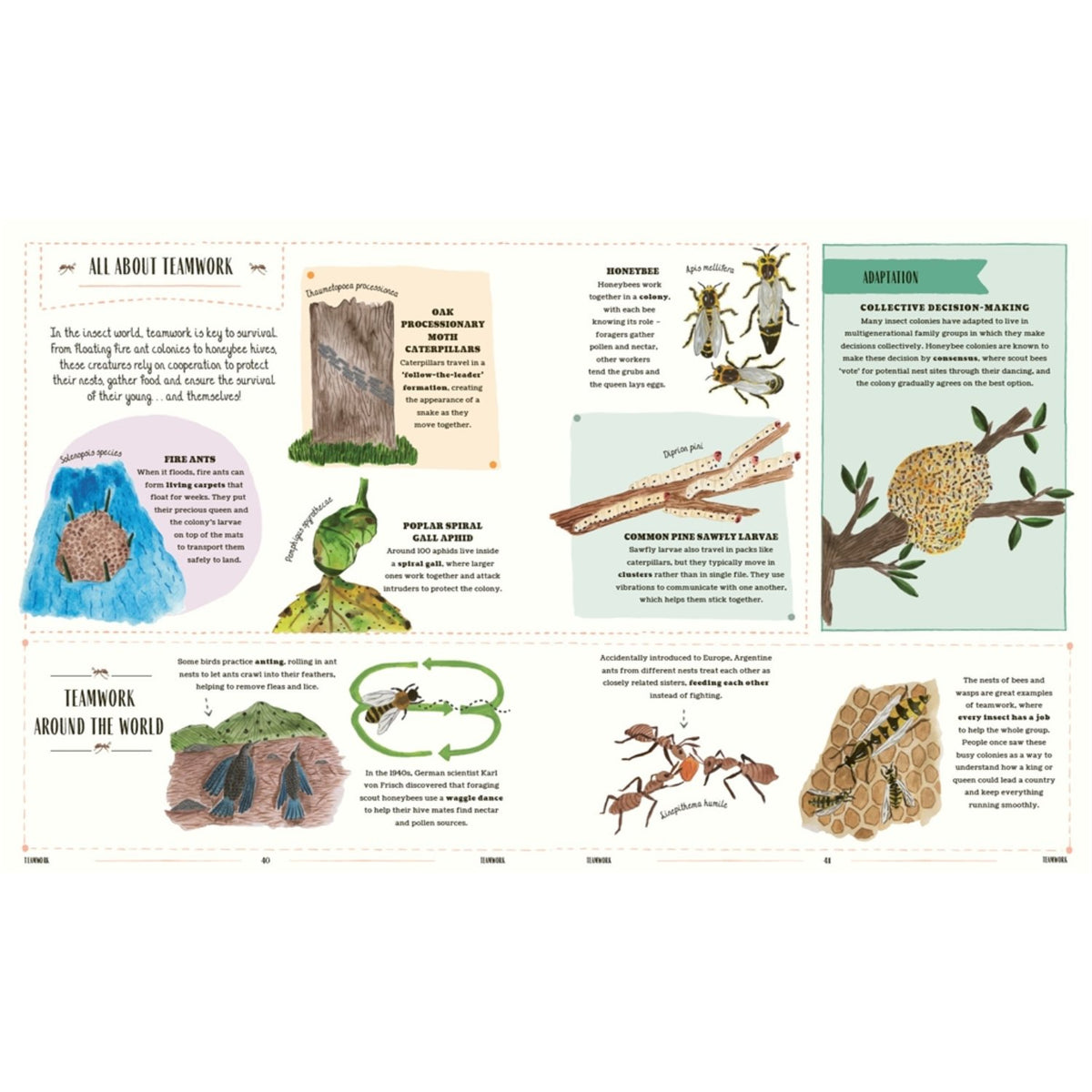 Sample pages (14) from 'Buzz' by Richard Jones and Sara Boccaccini Meadows - preschool hardcover