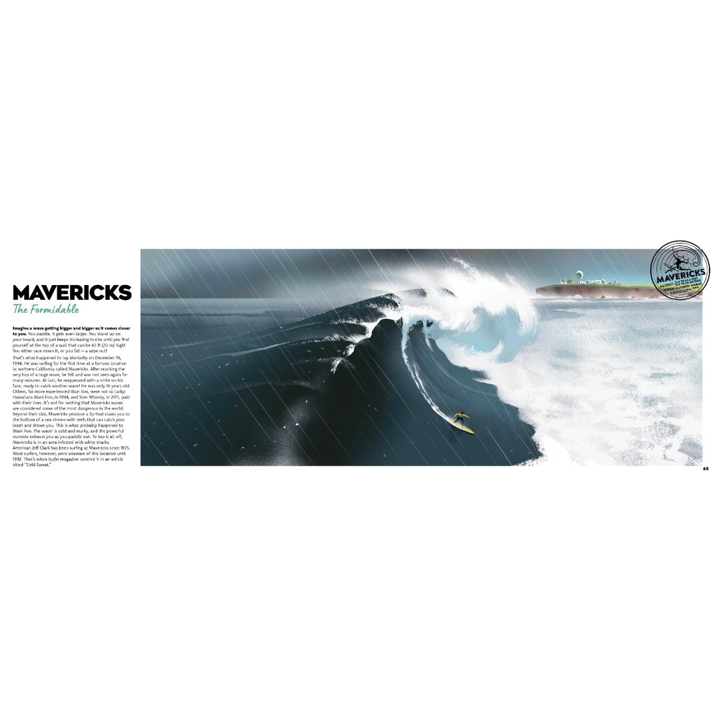 Surfing | Hardcover | Children's Book on Biographies