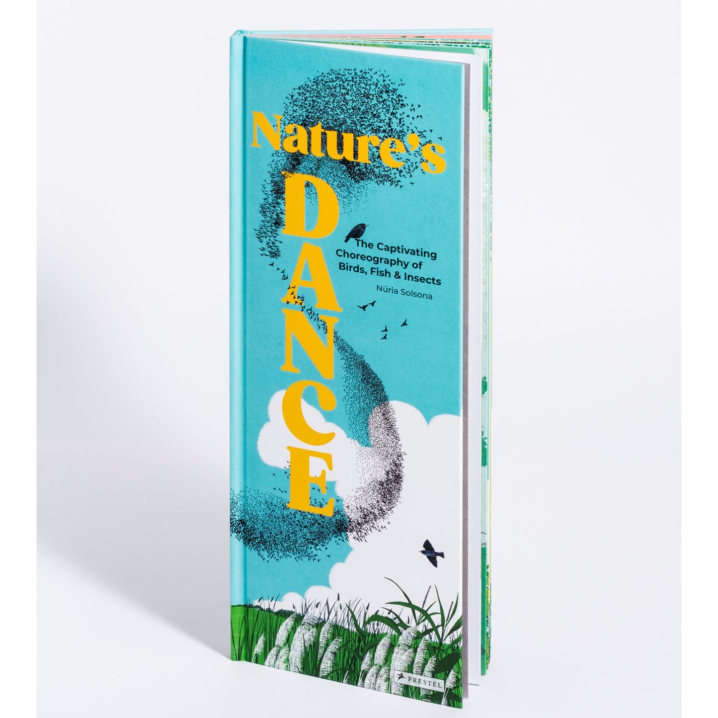 Nature's Dance - The Captivating Choreography of Birds, Fish & Insects | Hardcover | Children's Book