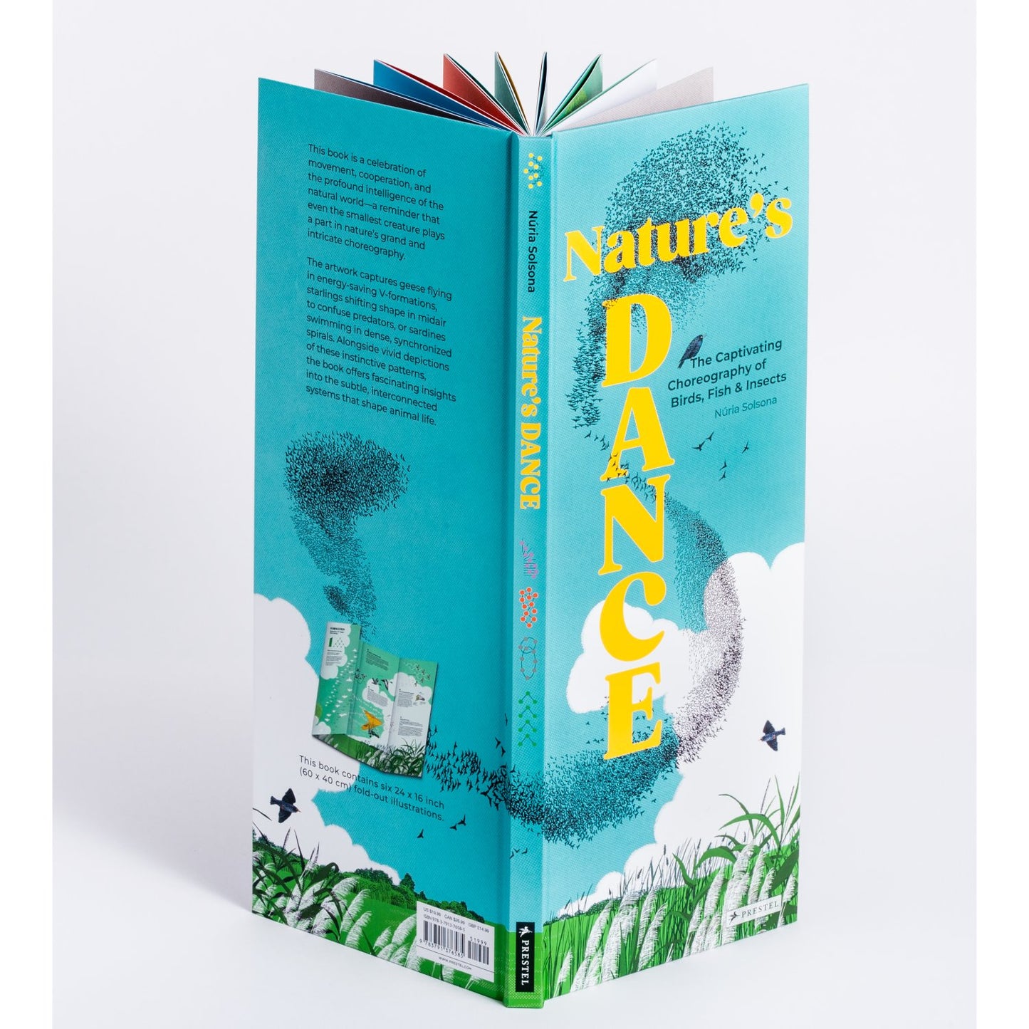 Nature's Dance - The Captivating Choreography of Birds, Fish & Insects | Hardcover | Children's Book