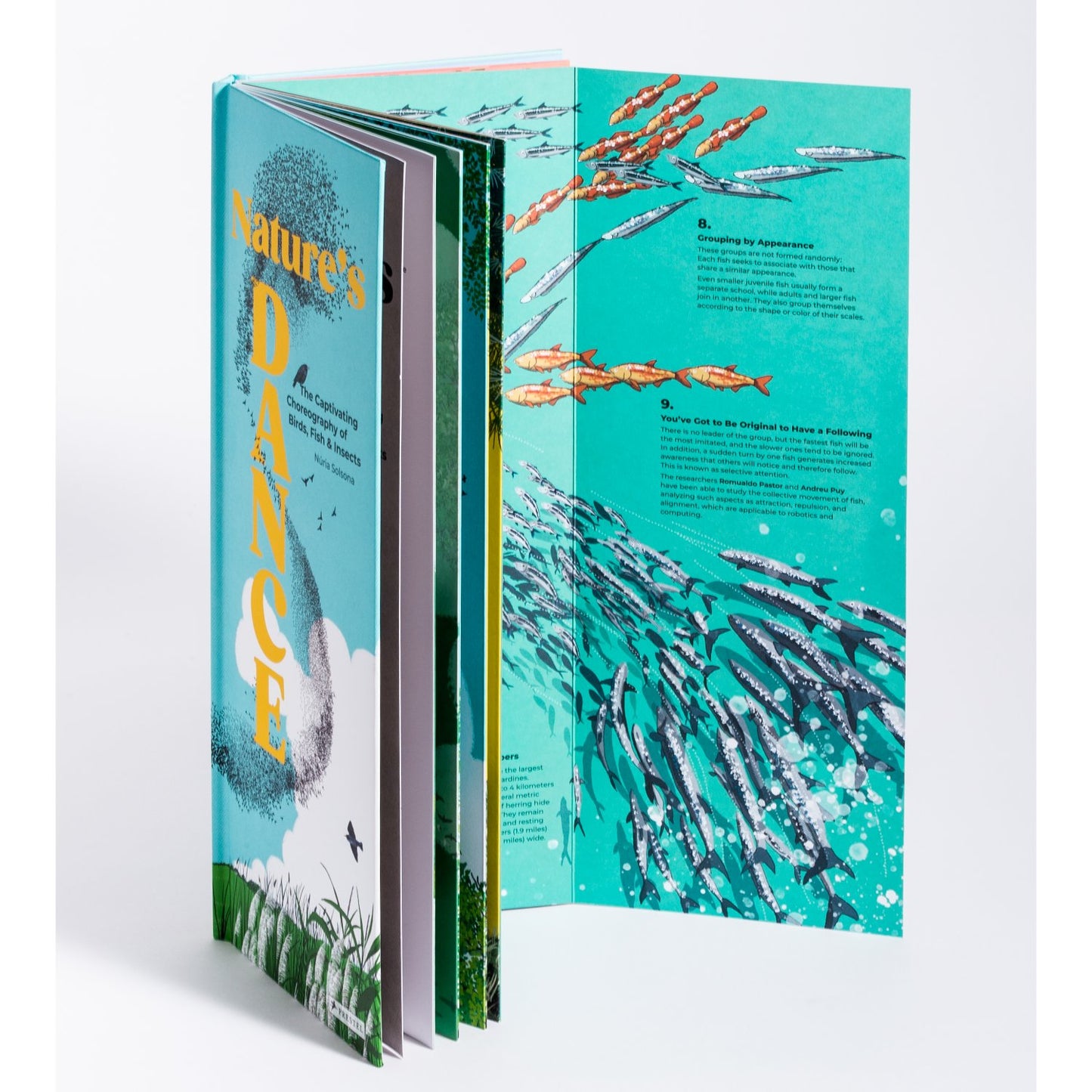Nature's Dance - The Captivating Choreography of Birds, Fish & Insects | Hardcover | Children's Book