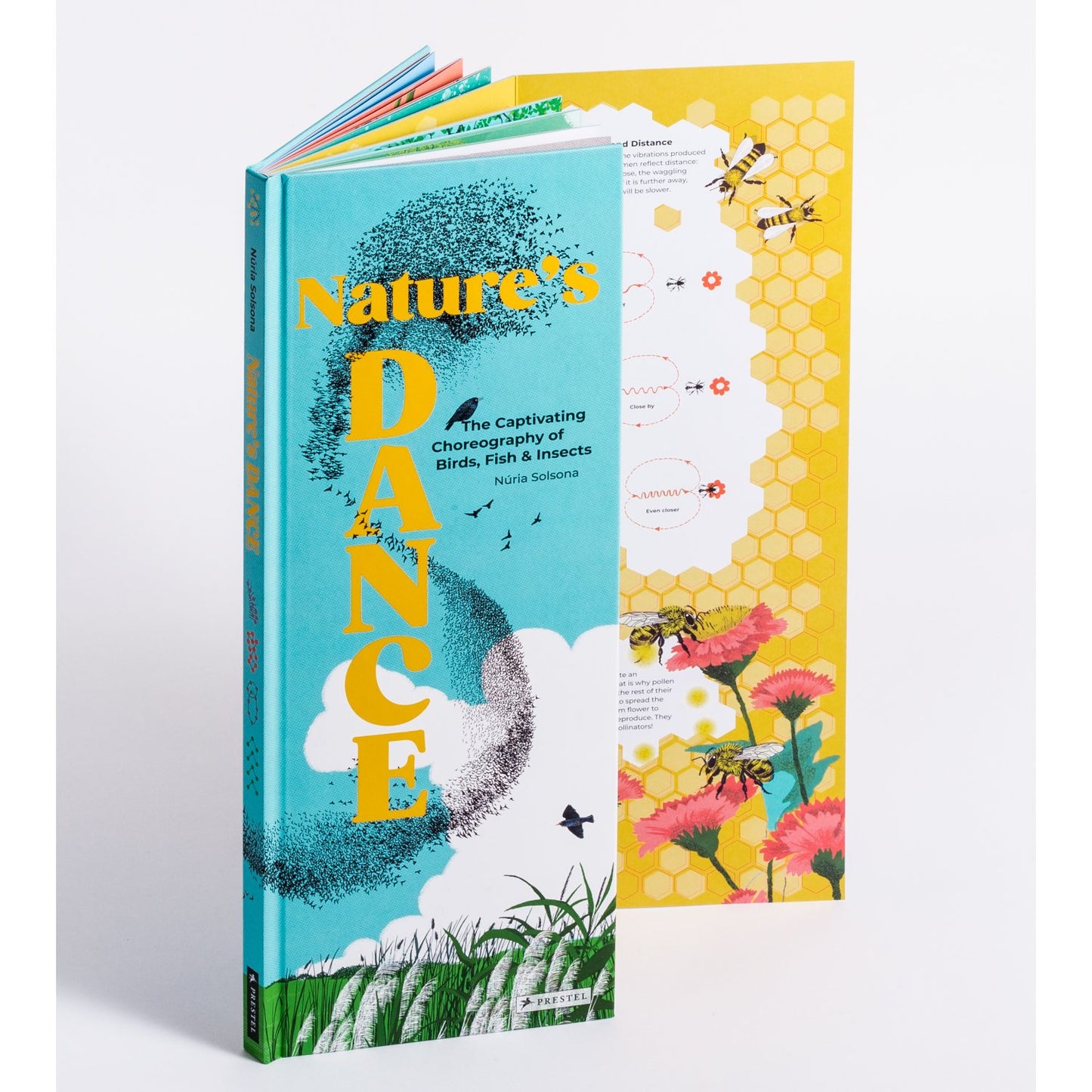 Nature's Dance - The Captivating Choreography of Birds, Fish & Insects | Hardcover | Children's Book
