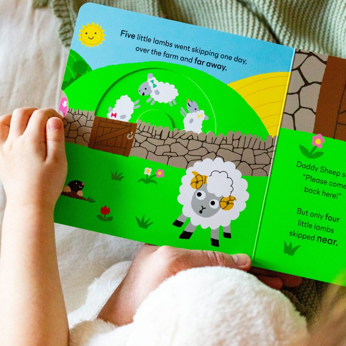 Five Little Lambs | Board Book | Interactive Children's Book