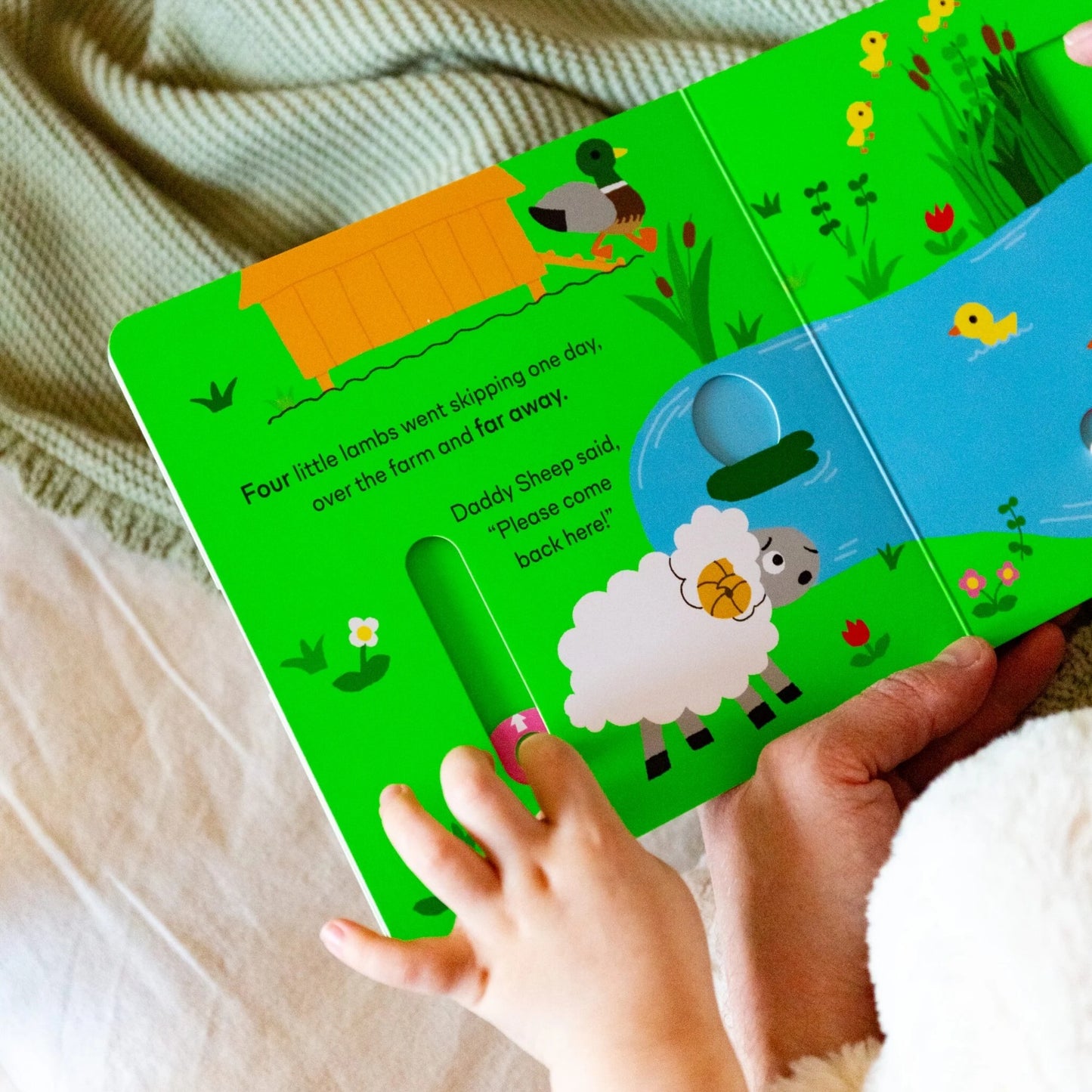 Five Little Lambs | Board Book | Interactive Children's Book