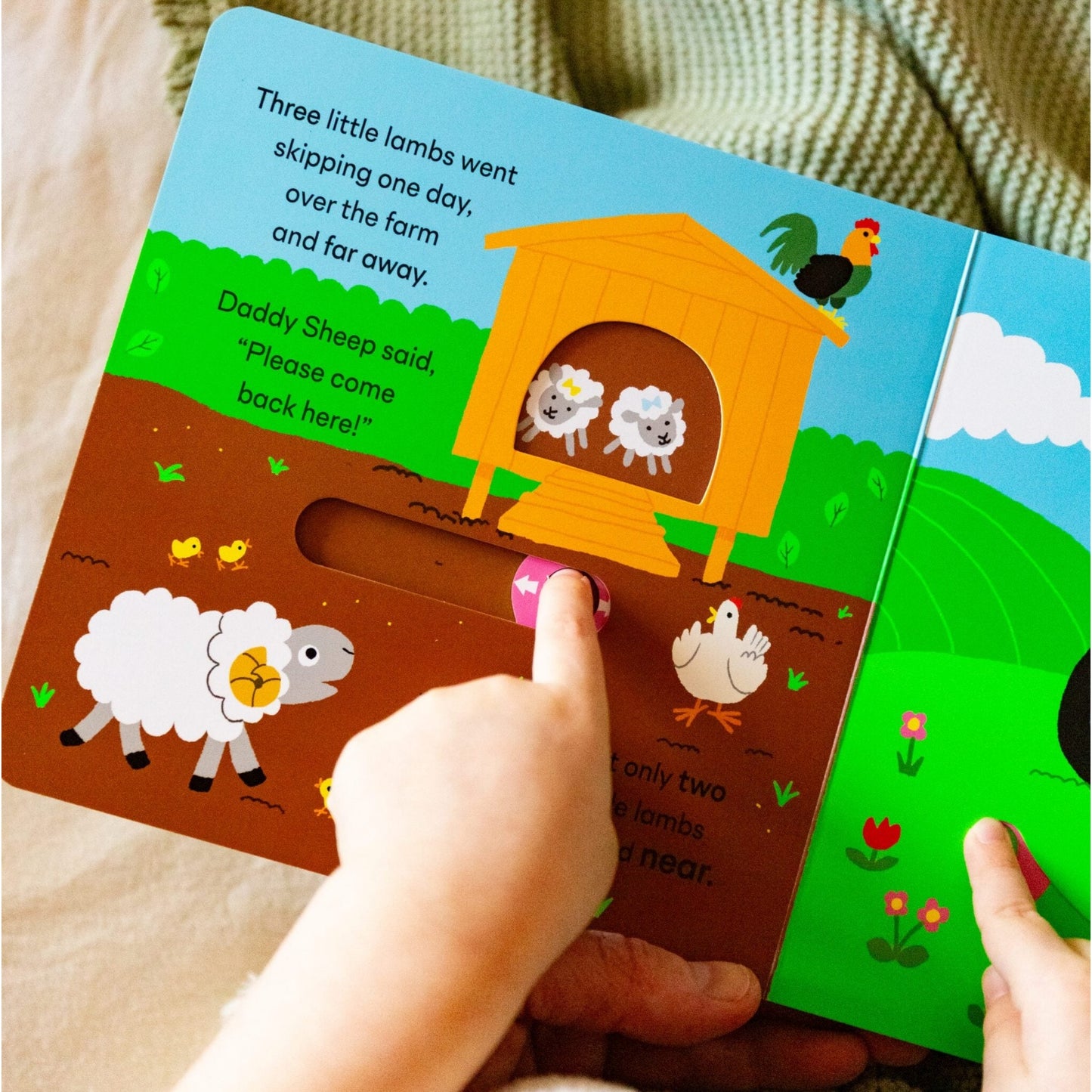 Five Little Lambs | Board Book | Interactive Children's Book