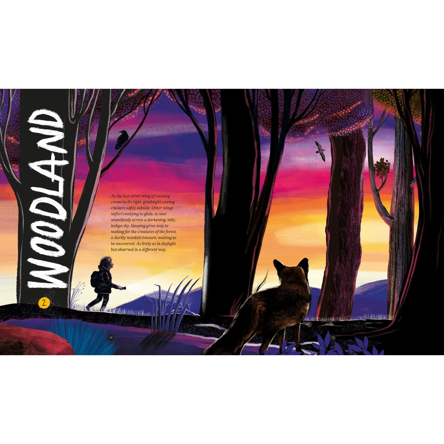 Wild Child's Guide to Nature at Night | Hardcover | Children's Book on Nature
