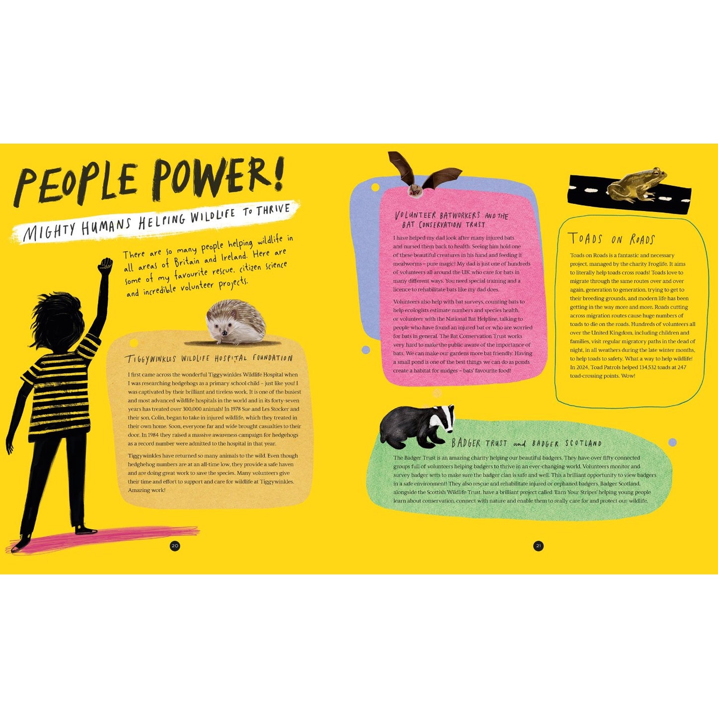 Wild Child's Guide to Nature at Night | Hardcover | Children's Book on Nature