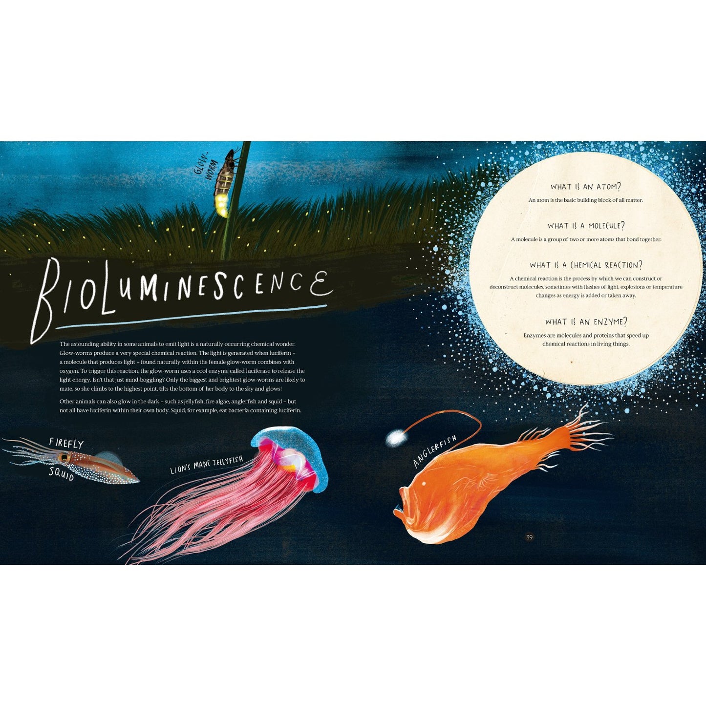 Wild Child's Guide to Nature at Night | Hardcover | Children's Book on Nature