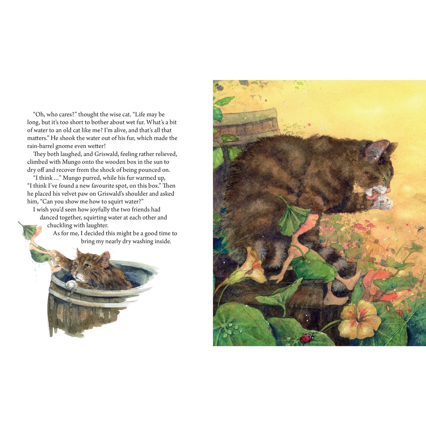 The Garden Adventures of Griswald the Gnome | Daniela Drescher | Hardcover | Tales & Myths for Children
