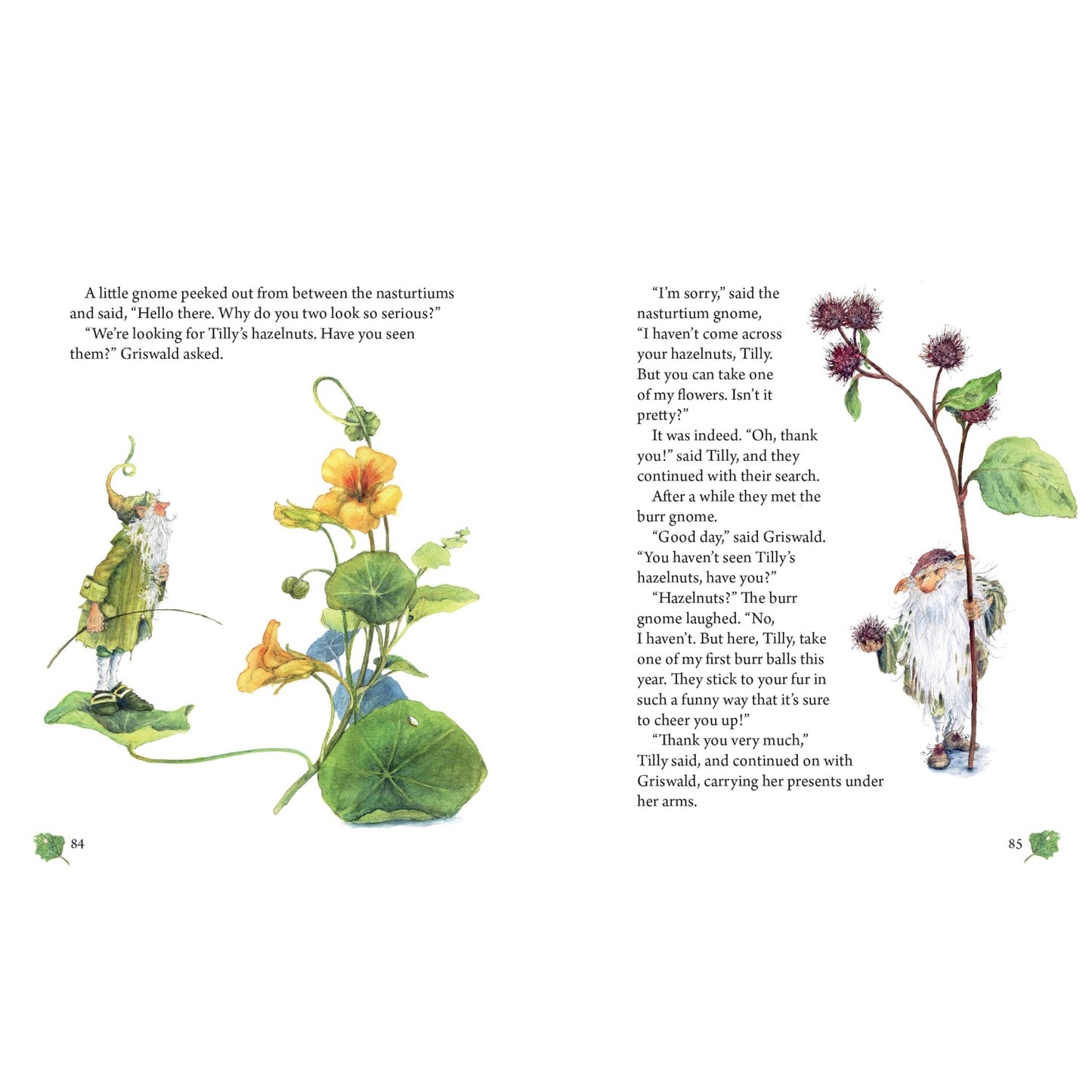 The Garden Adventures of Griswald the Gnome | Daniela Drescher | Hardcover | Tales & Myths for Children