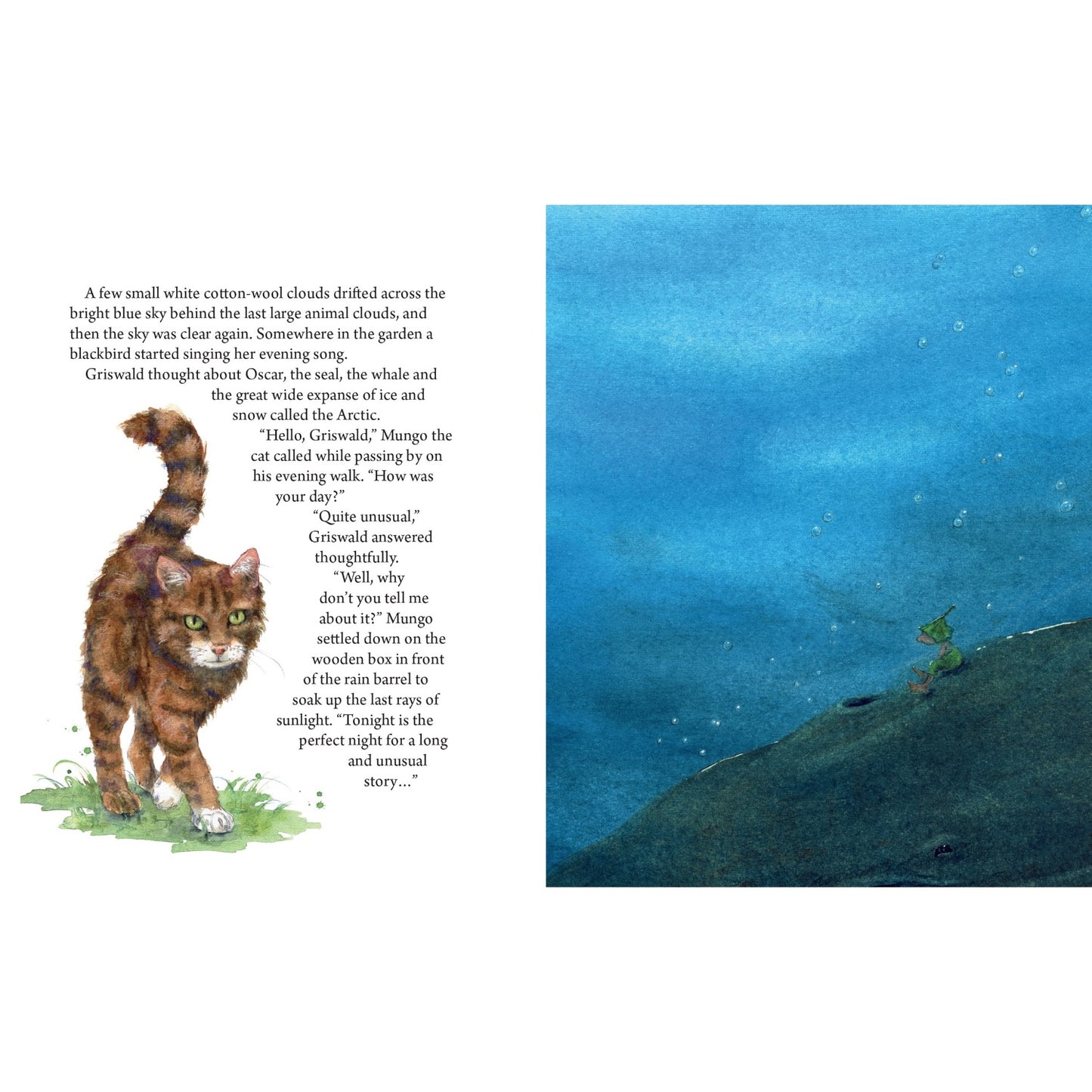 The Garden Adventures of Griswald the Gnome | Daniela Drescher | Hardcover | Tales & Myths for Children