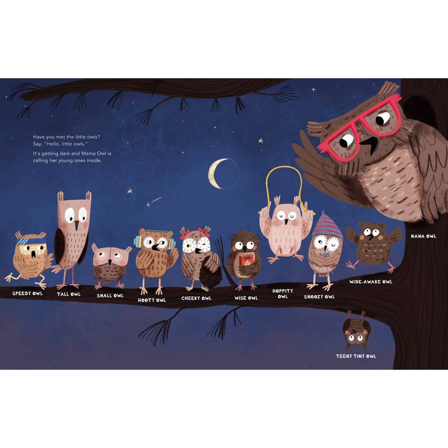 Time for Bed, Little Owls! | Hardcover | Children's Bedtime & Calming Stories