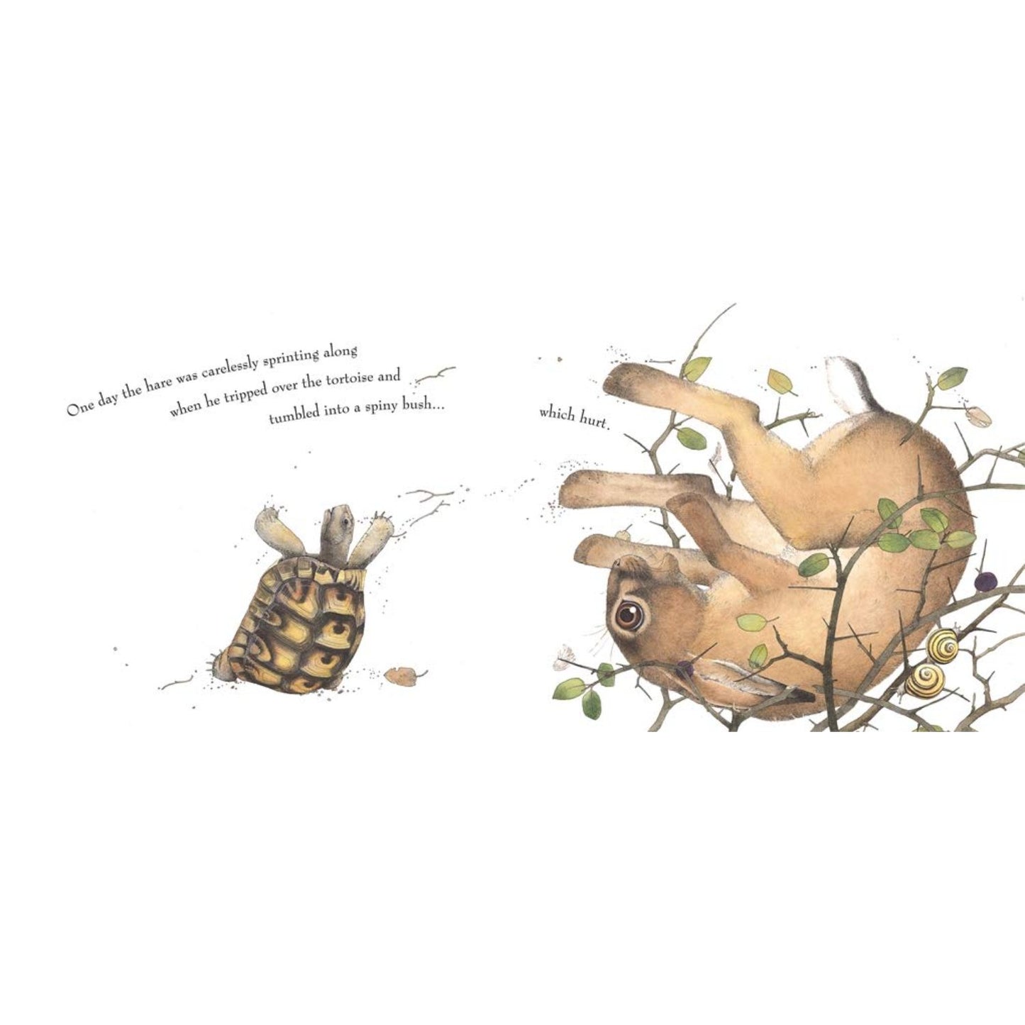 Hare and the Tortoise | Paperback | Children's Book