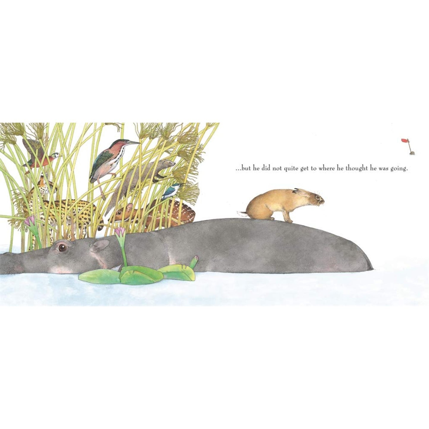 Hare and the Tortoise | Paperback | Children's Book