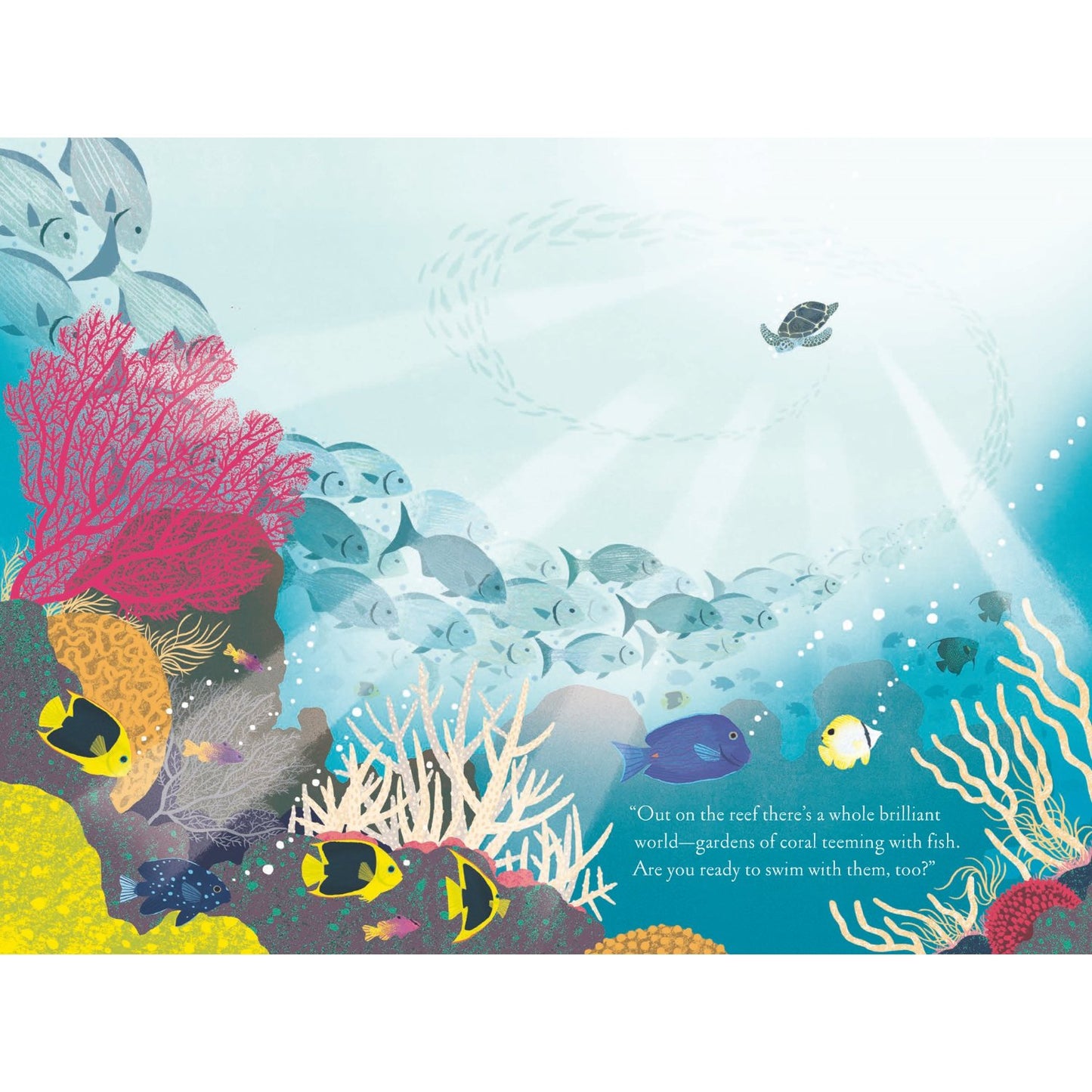 Over and Under the Coral Reef | Hardcover | Children's Book on Nature
