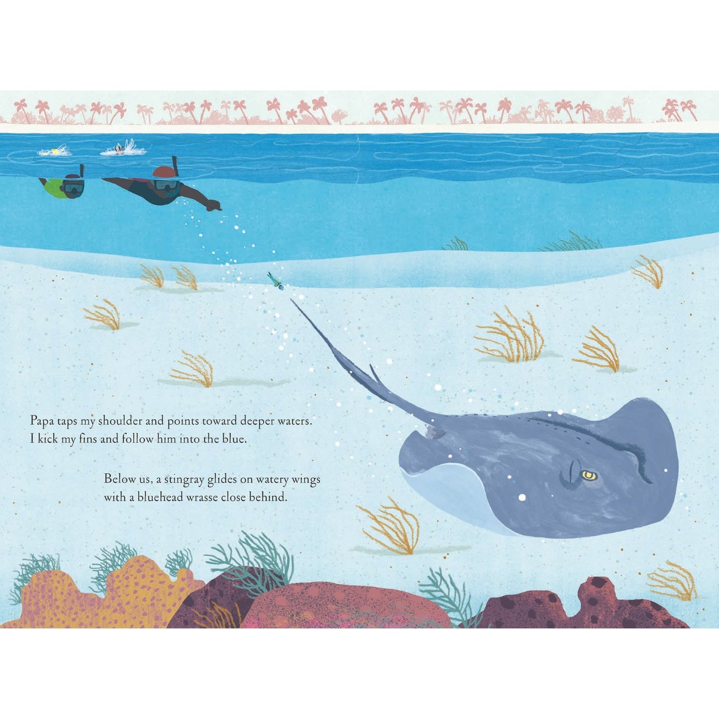 Over and Under the Coral Reef | Hardcover | Children's Book on Nature