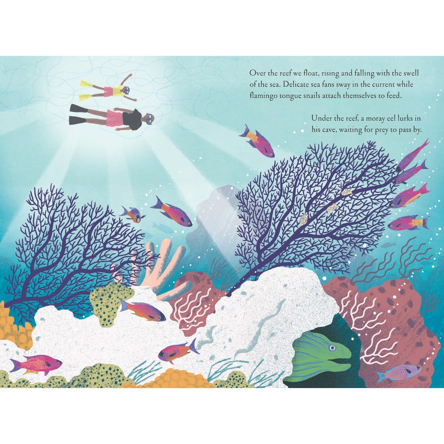 Over and Under the Coral Reef | Hardcover | Children's Book on Nature