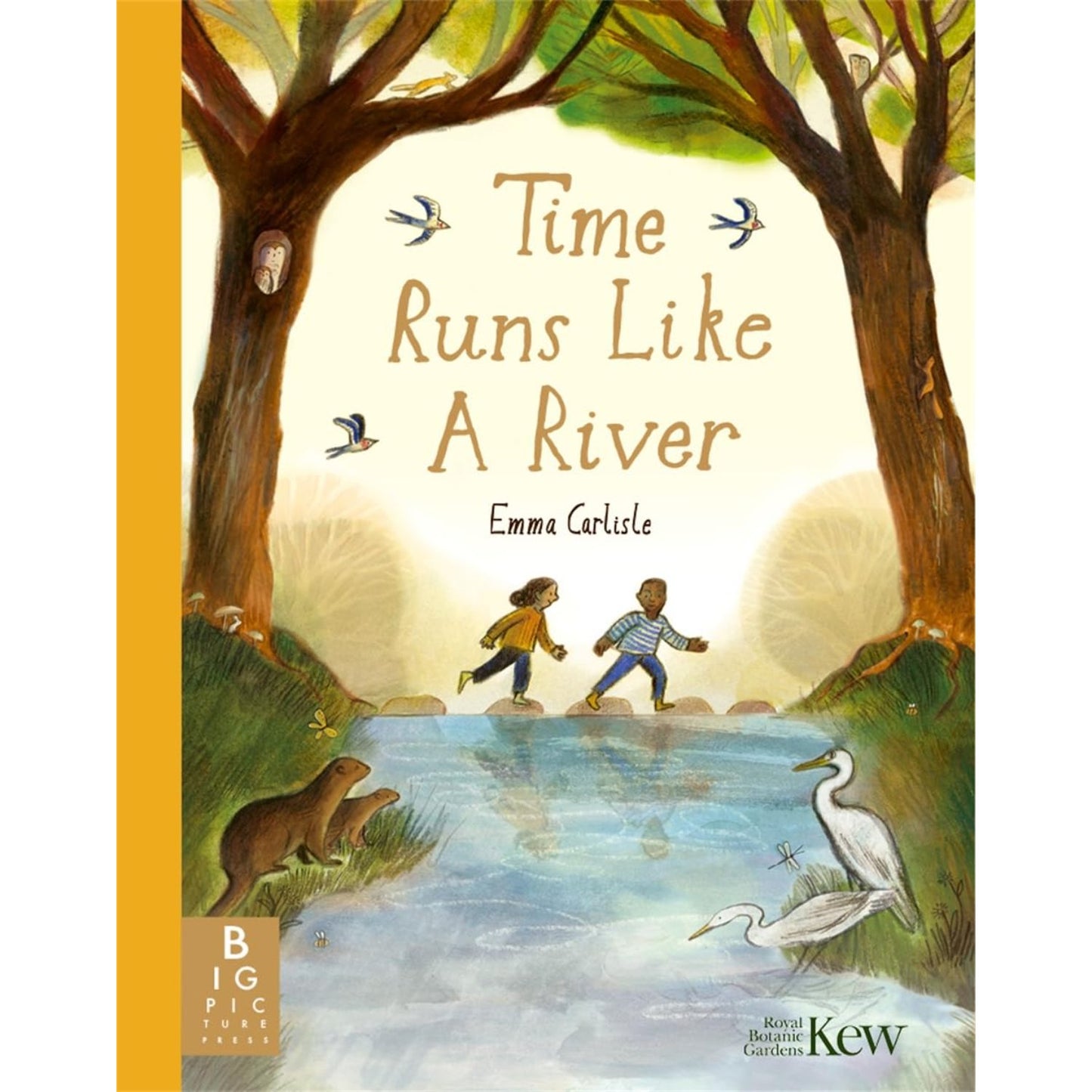 Time Runs Like A River | Paperback | Children's Book on Nature