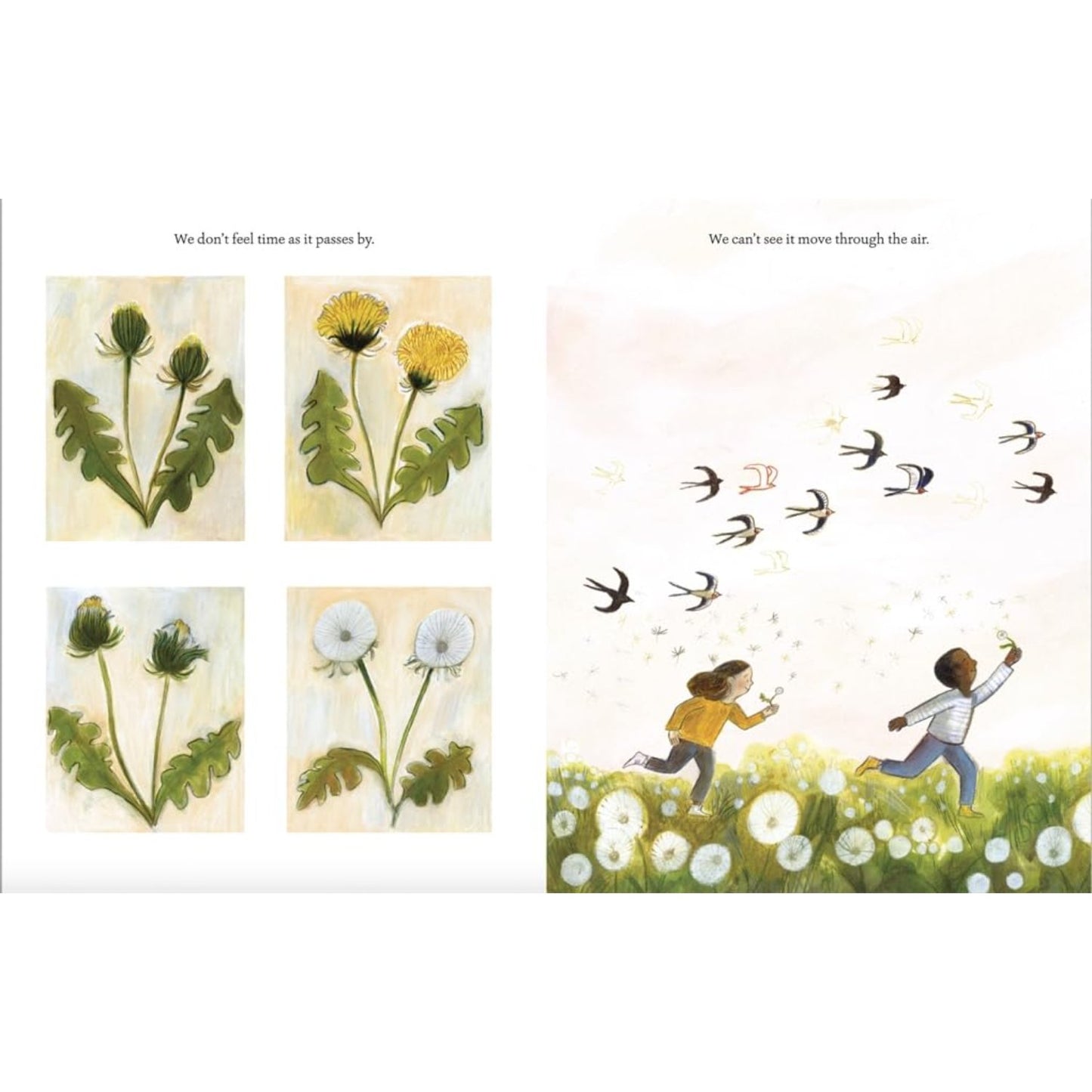 Time Runs Like A River | Paperback | Children's Book on Nature