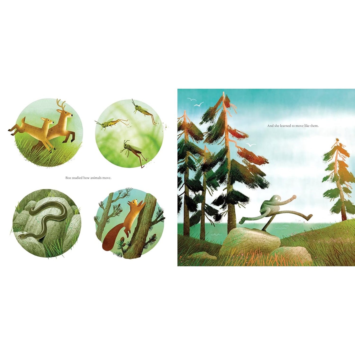 Wild Robot on the Island - The Picture Book | Hardcover | Children's Book on Belonging & Understanding