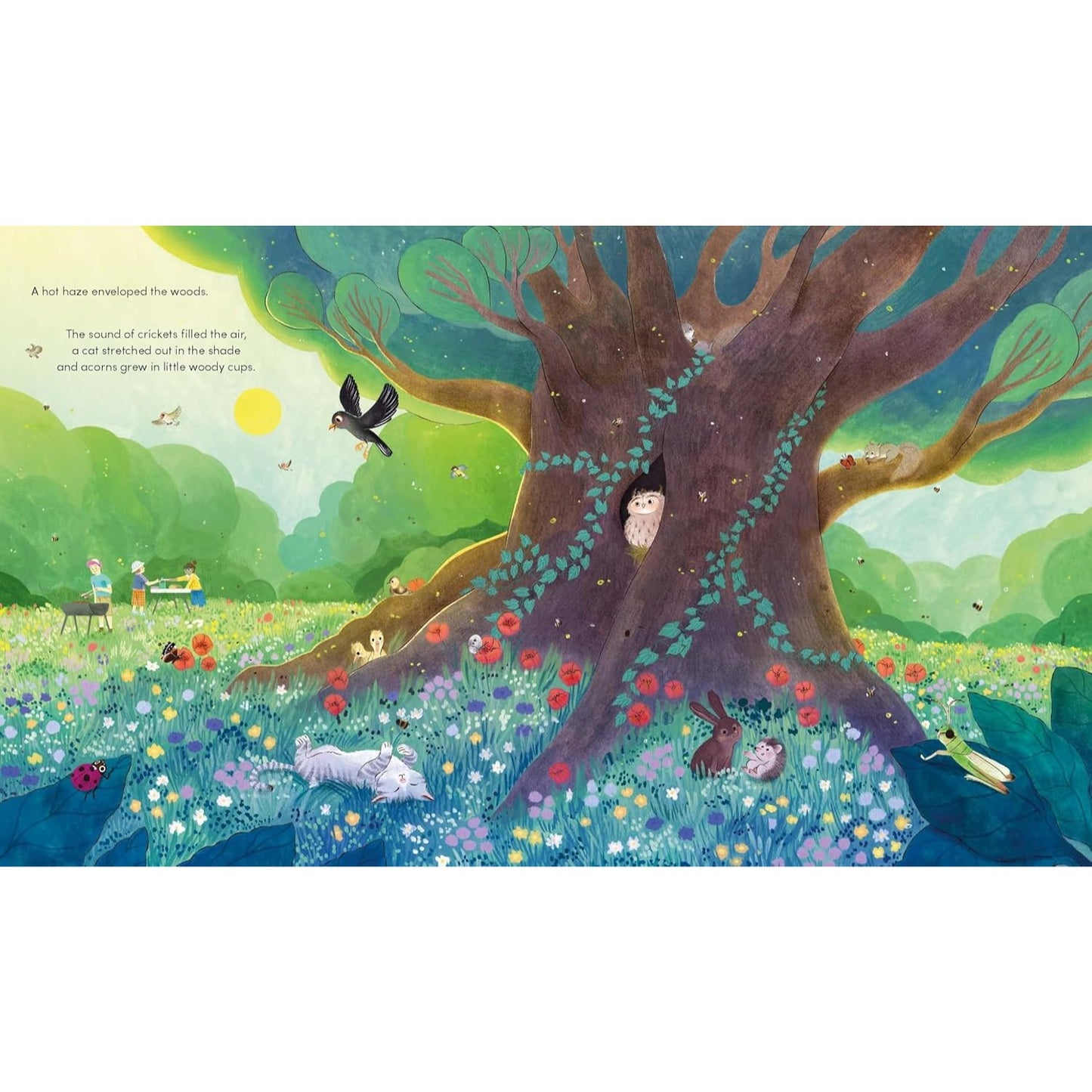 Great Oak Tree | Hardcover | Children's Book on Nature
