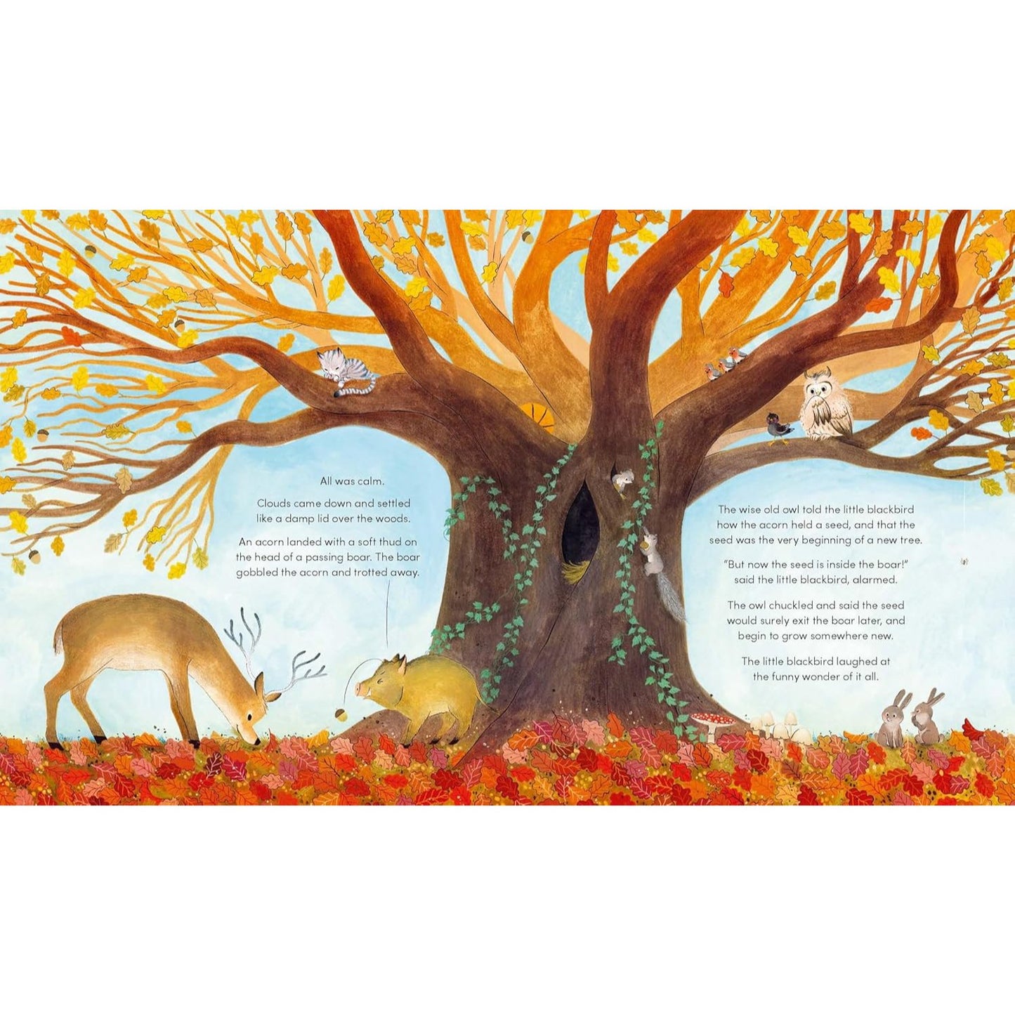 Great Oak Tree | Hardcover | Children's Book on Nature