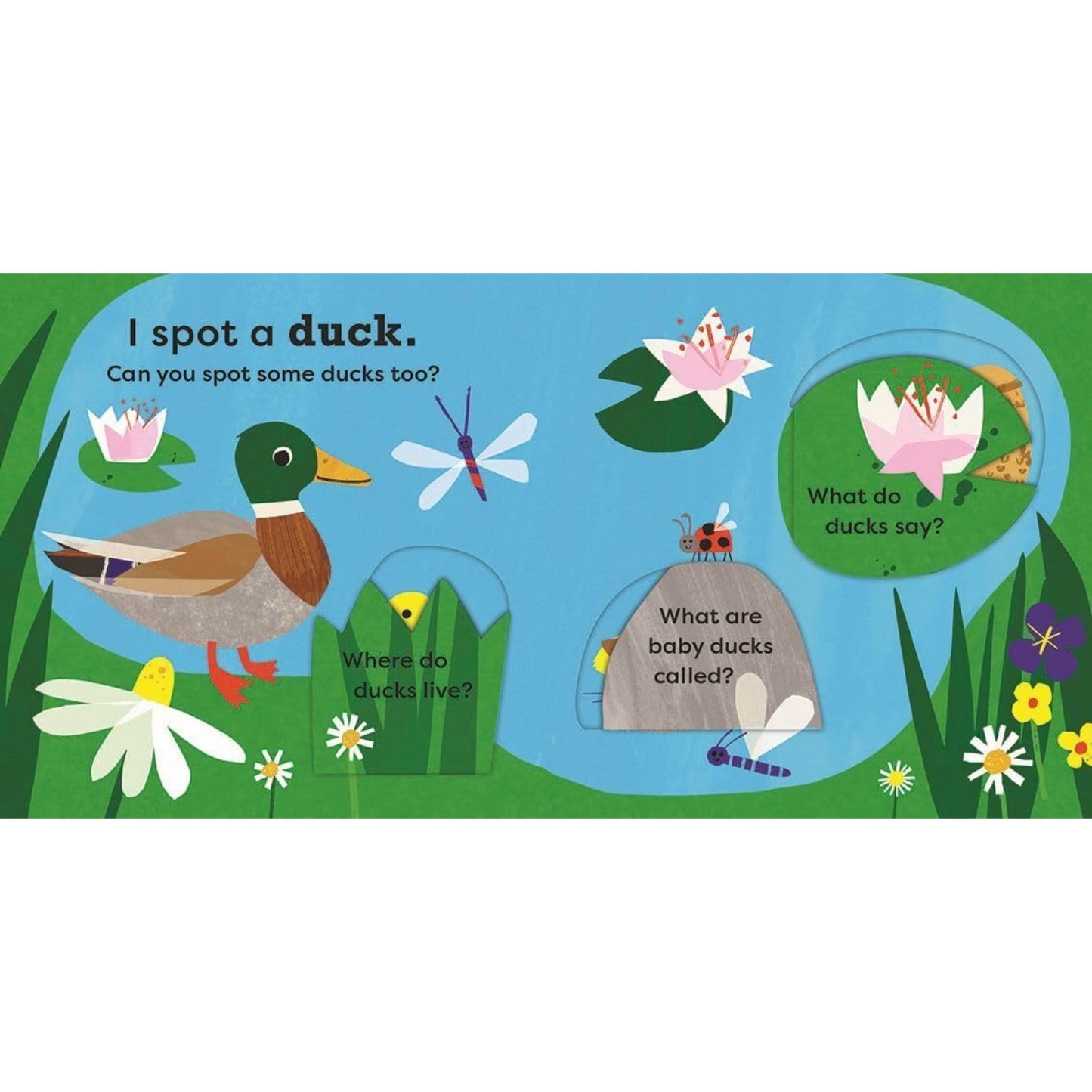 I Spot A Duck - My Very First Spotter's Guide | National Trust | Children's Lift-the-Flap Book