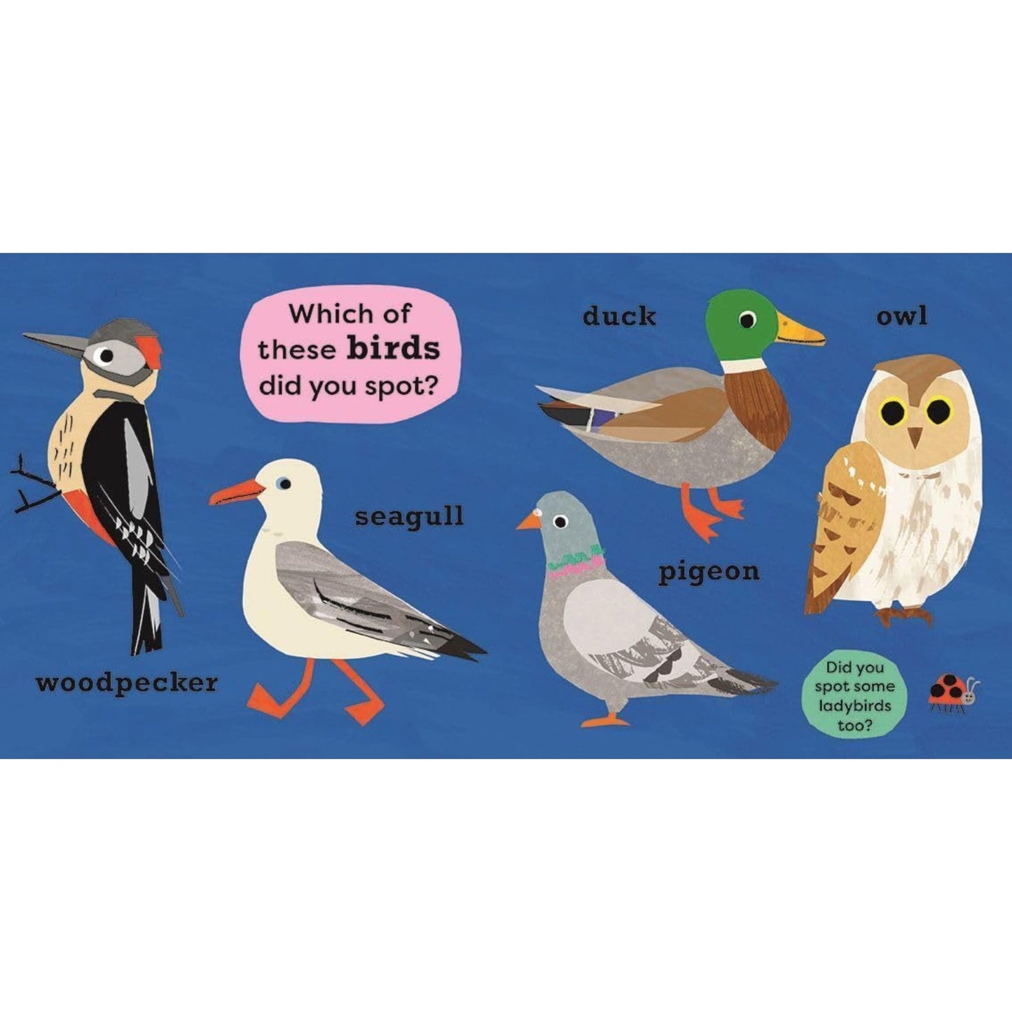 I Spot A Duck - My Very First Spotter's Guide | National Trust | Children's Lift-the-Flap Book