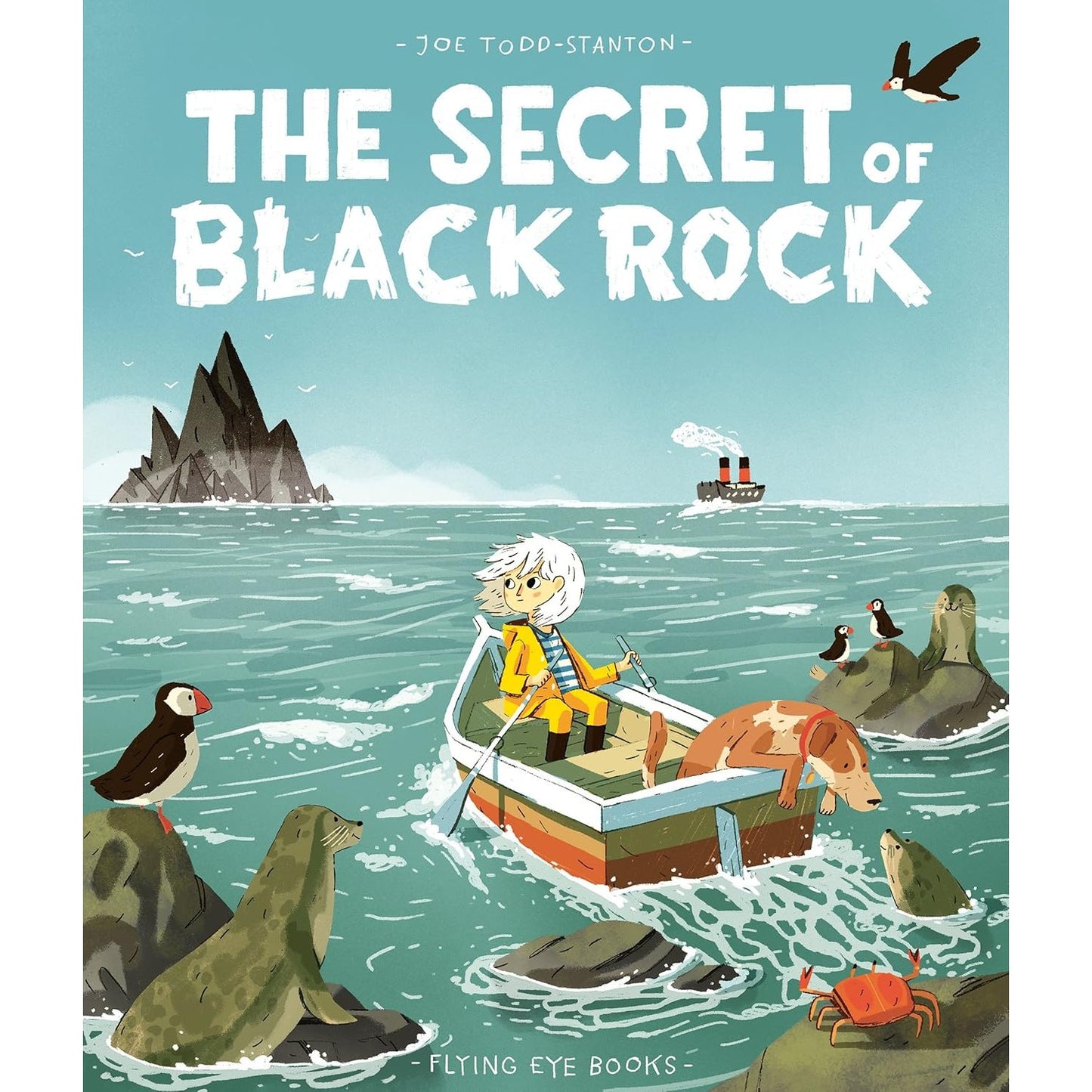 The Secret of Black Rock | Paperback | Children's Story Book