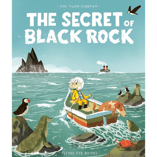 The Secret of Black Rock | Paperback | Children's Story Book