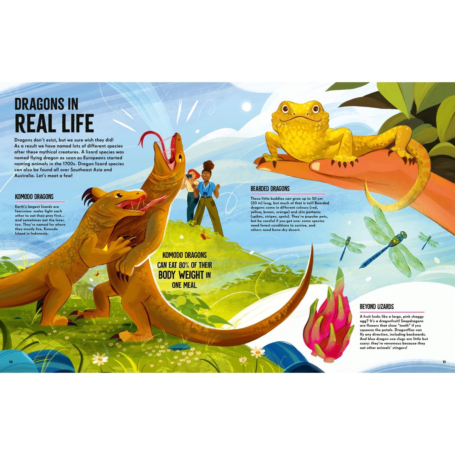 Dragons - Meet the Legendary Monsters of Mythology | Hardcover | Children's Story Book