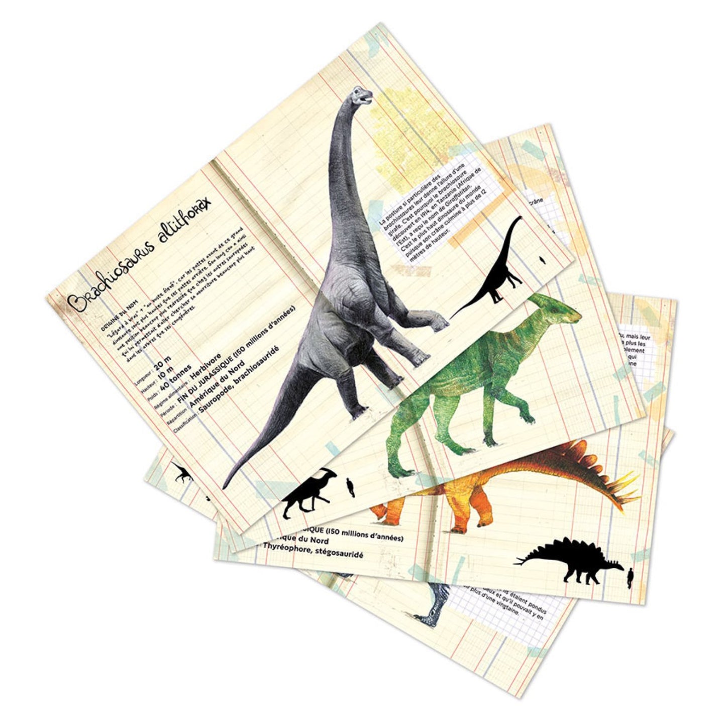 Dinosaur Magnets | Muséum National d'Histoire Naturelle | Wood Magnets