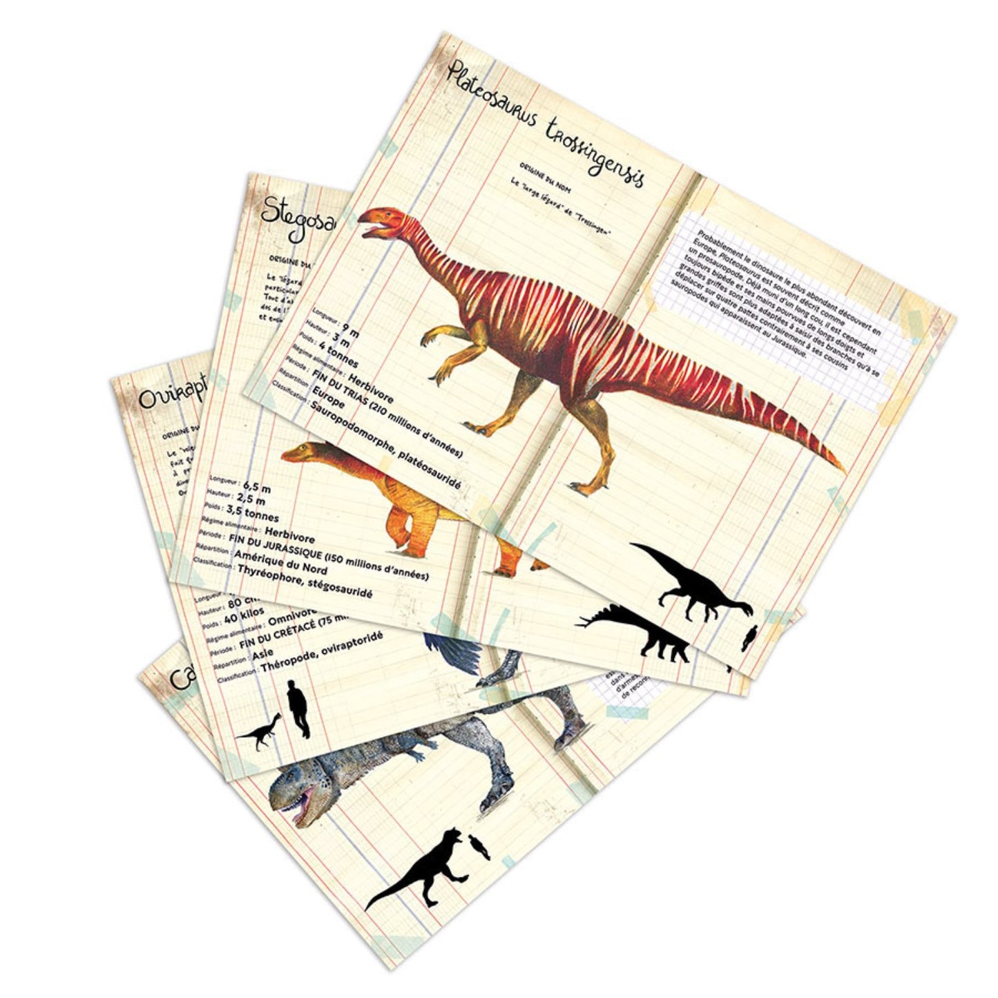 Dinosaur Magnets | Muséum National d'Histoire Naturelle | Wood Magnets
