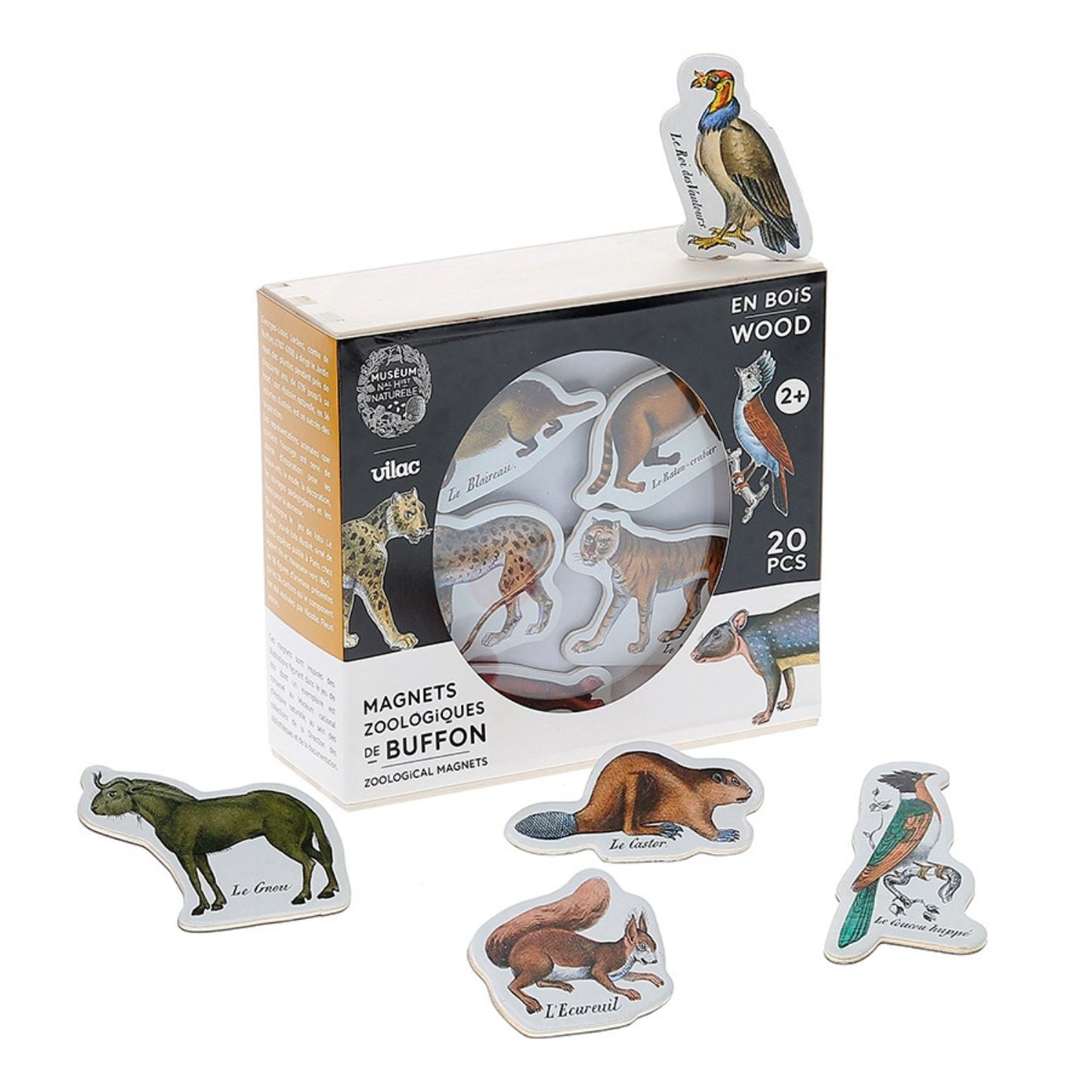 Zoological Magnets | Muséum National d'Histoire Naturelle | Wood Magnets
